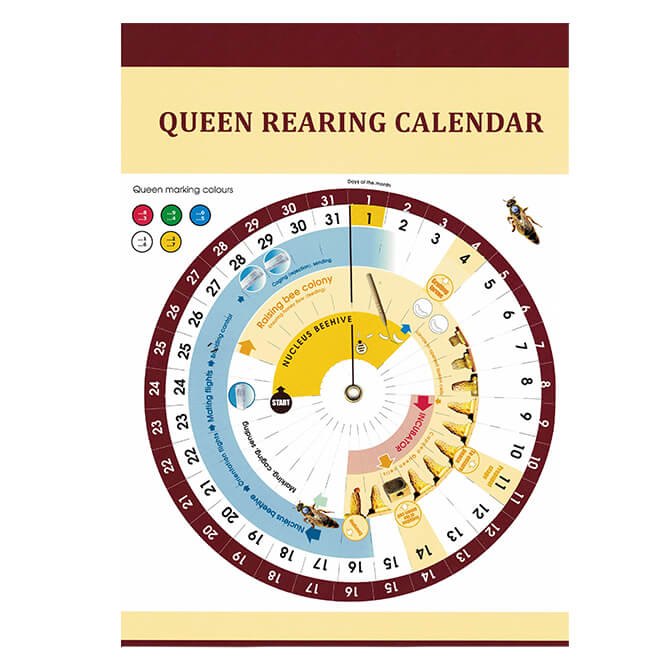 Queen Breeding Calendar Wheel