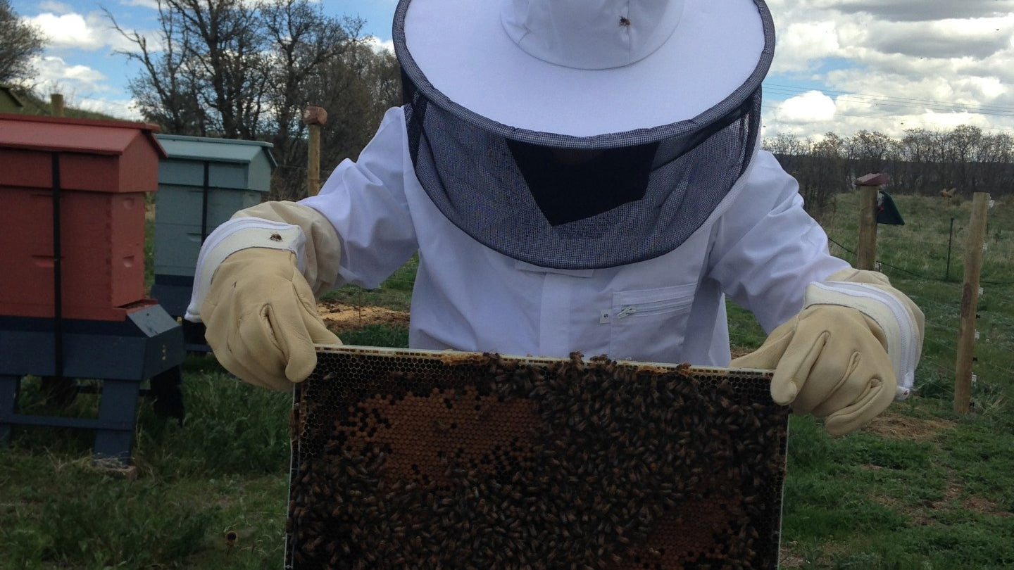 Beekeeper's Protective Gear