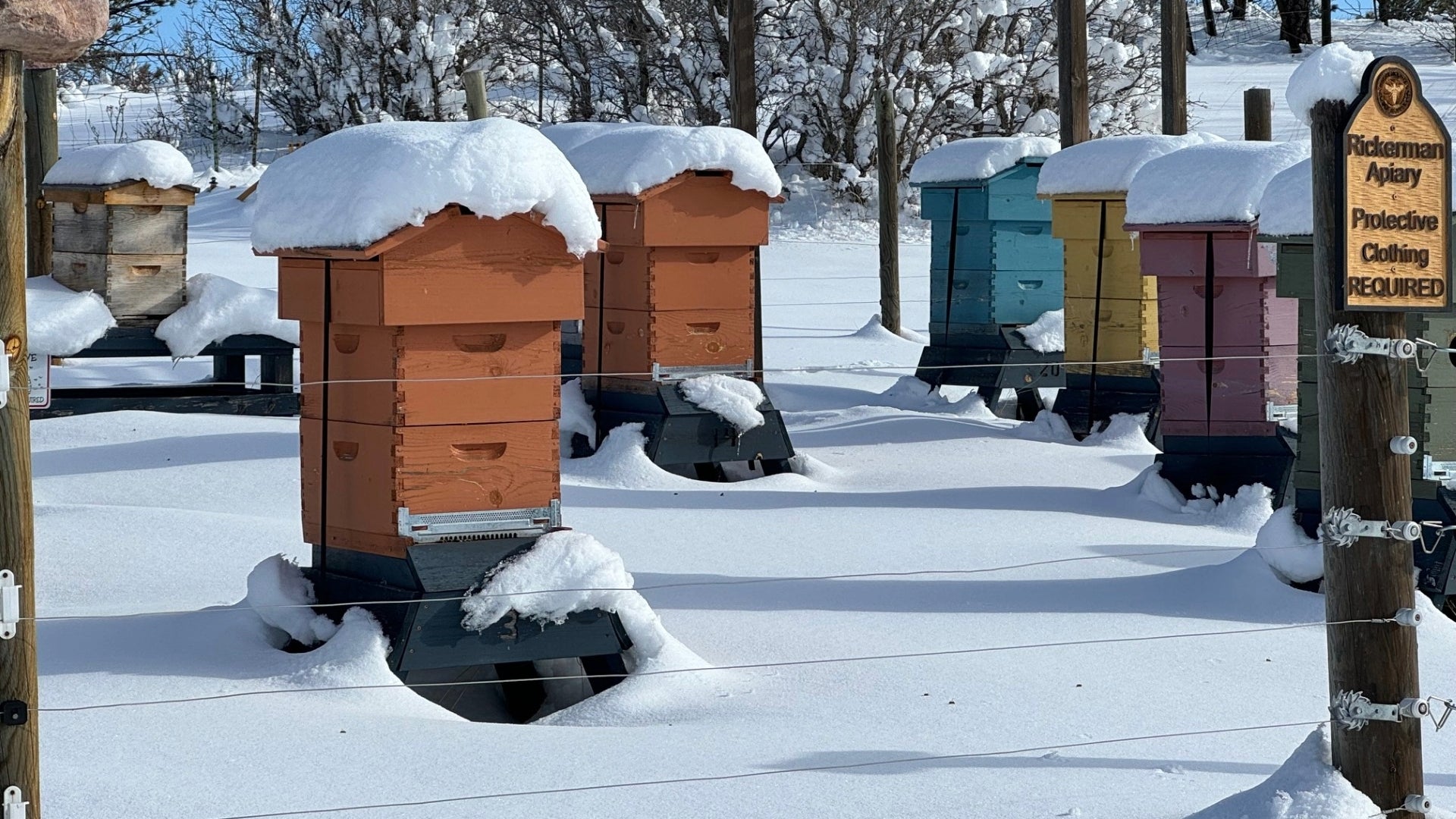 Beehive Winterizing Accessories