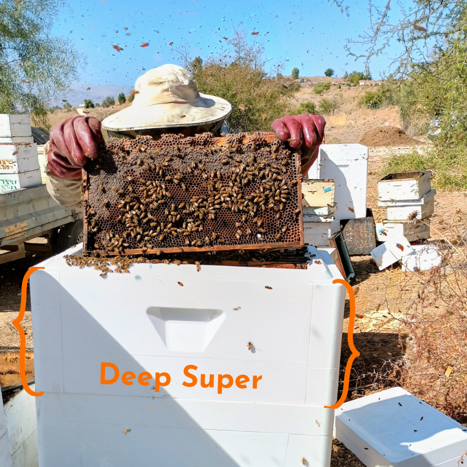 Honey Super  (ships directly from the warehouse)
