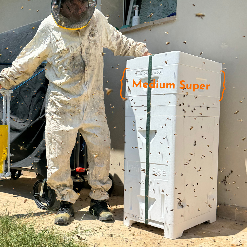 Honey Super  (ships directly from the warehouse)