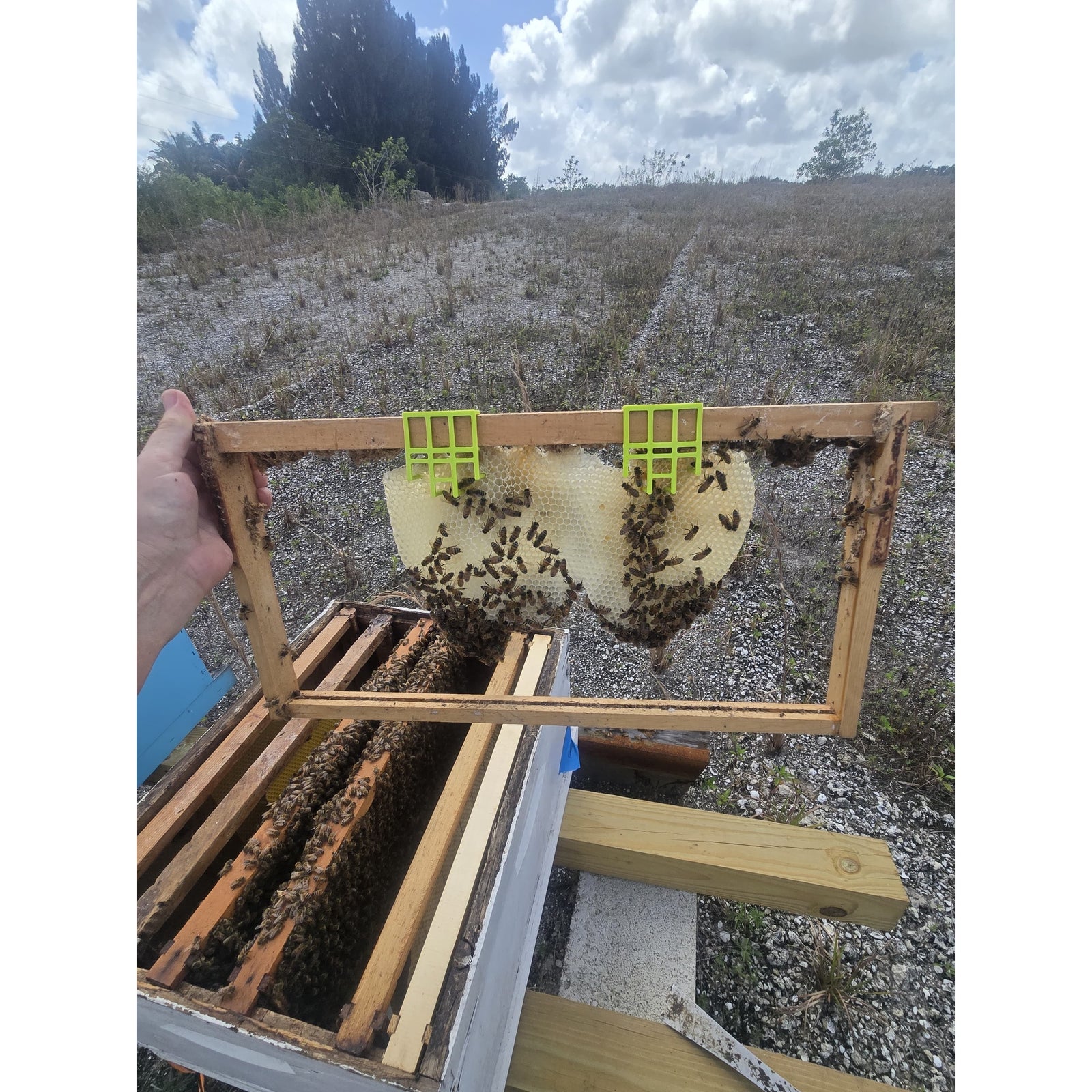 Comb Keeper: Comb Recovery Tool (ships directly from warehouse)
