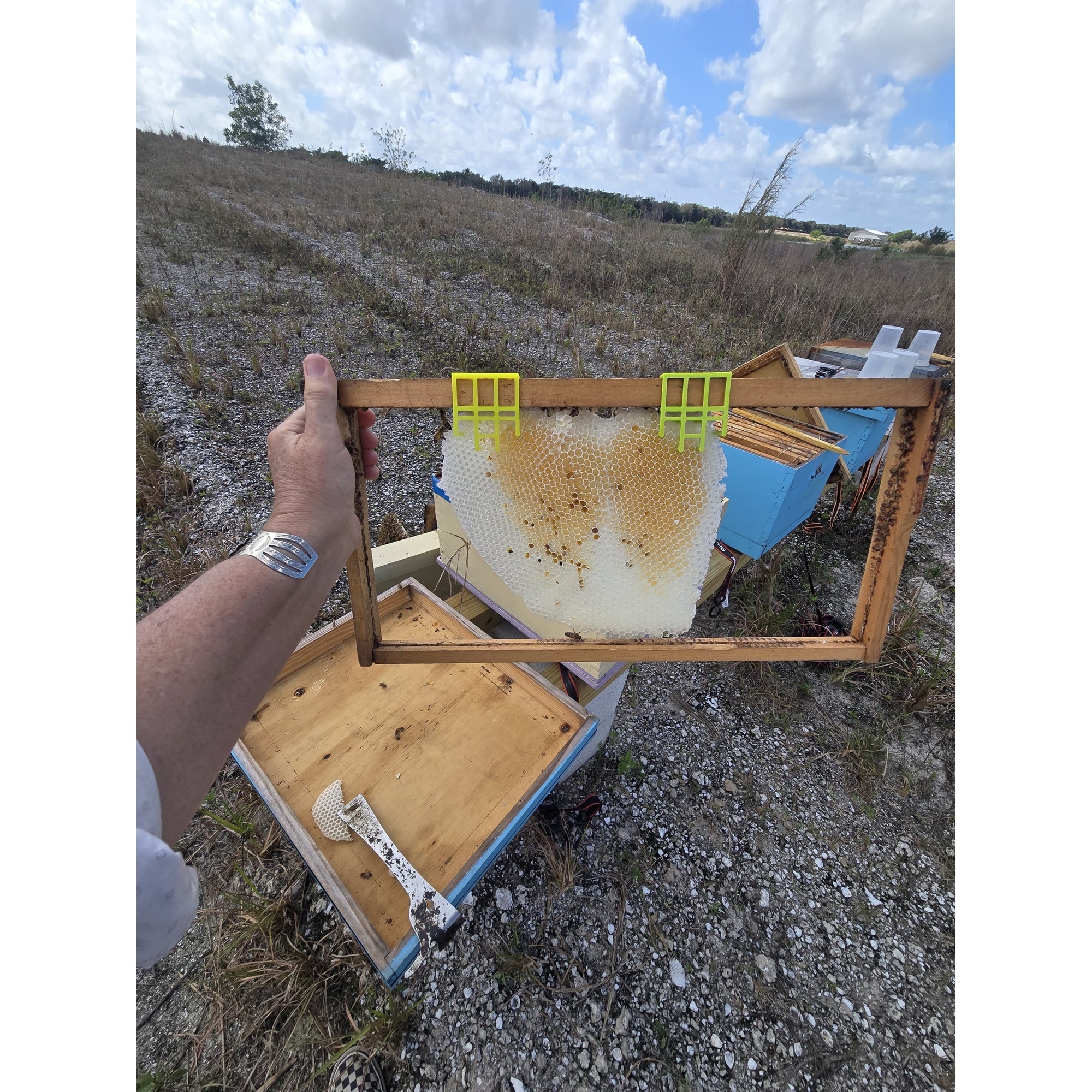 Comb Keeper: Comb Recovery Tool (ships directly from warehouse)