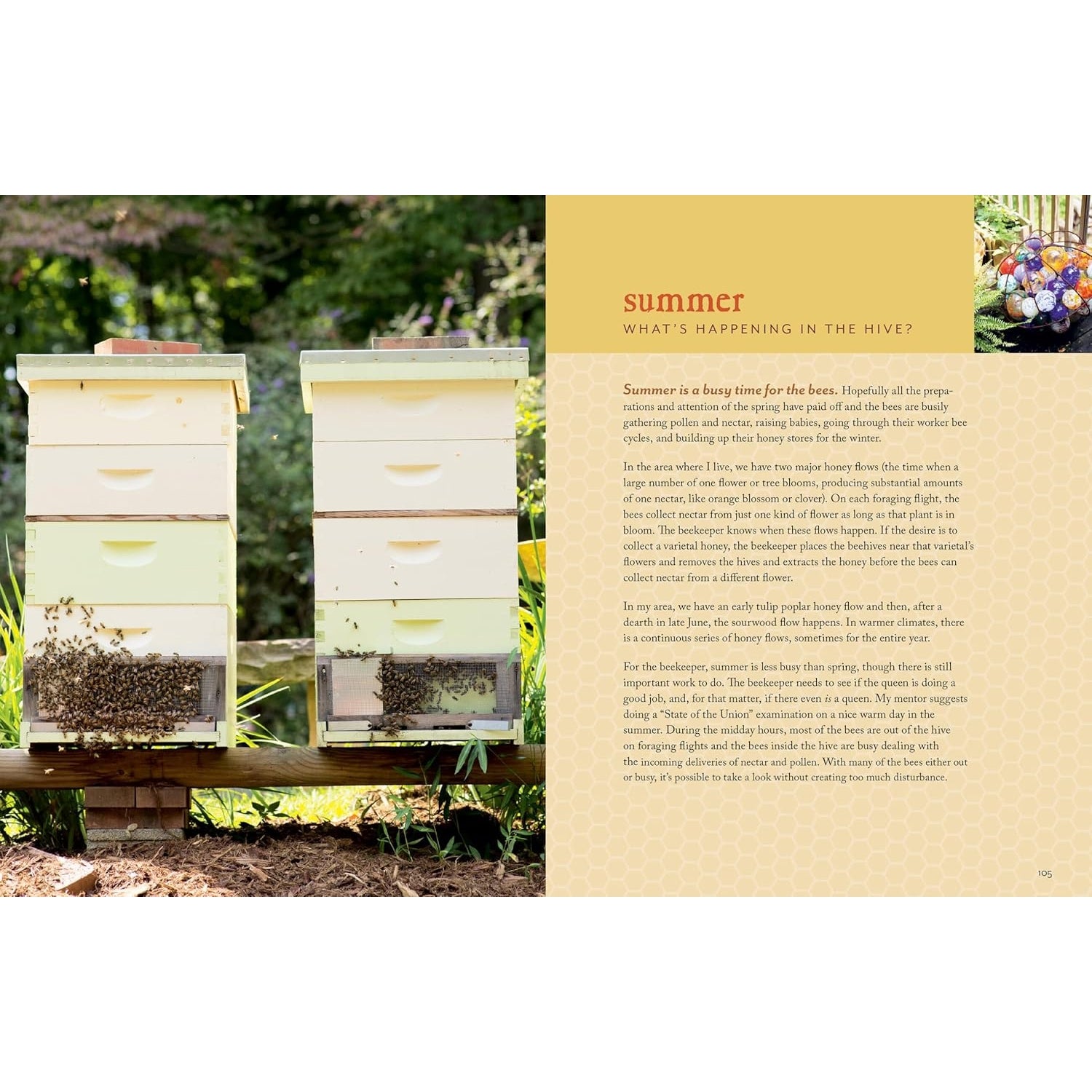 The Fresh Honey Cookbook