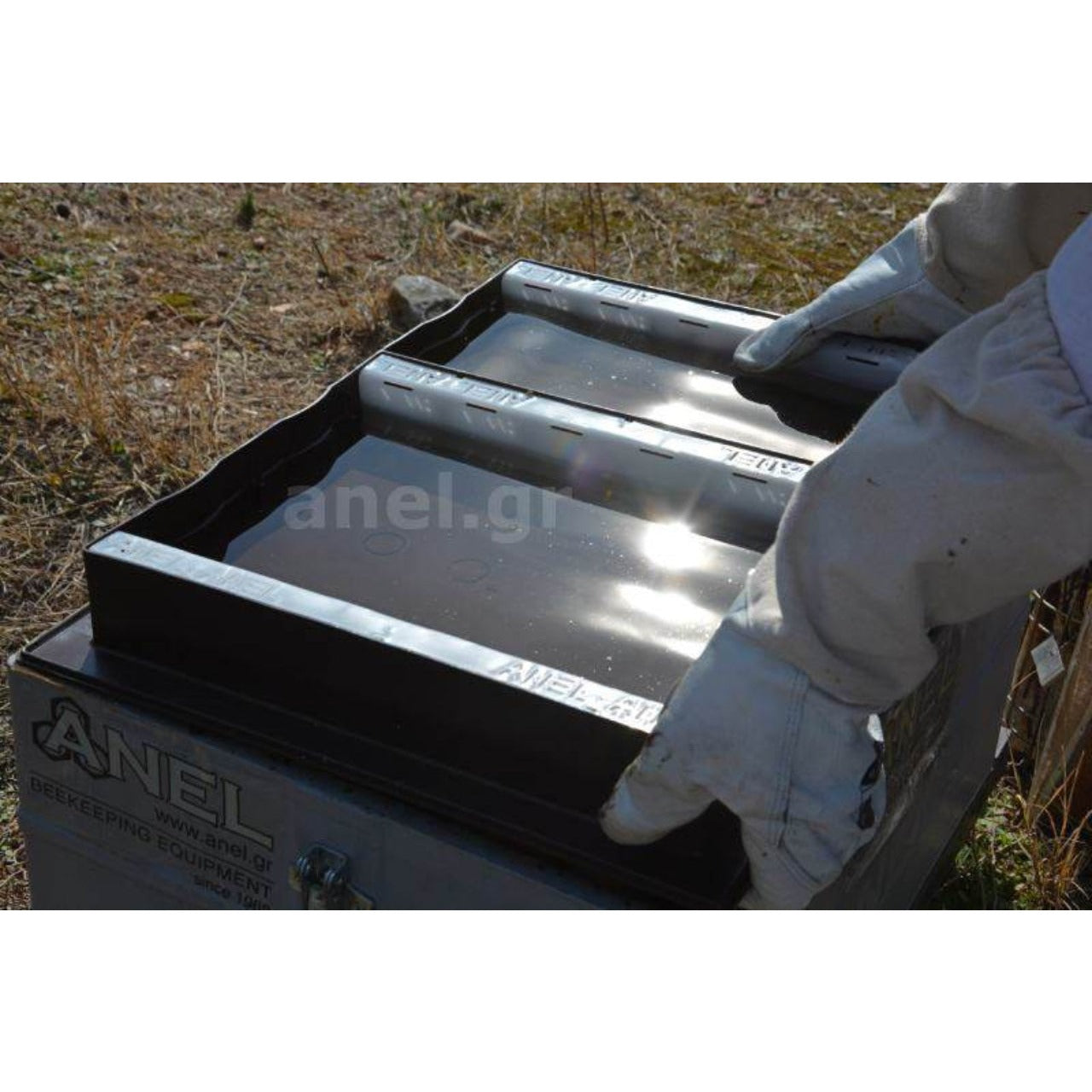 ANEL Top Feeder w/Divider