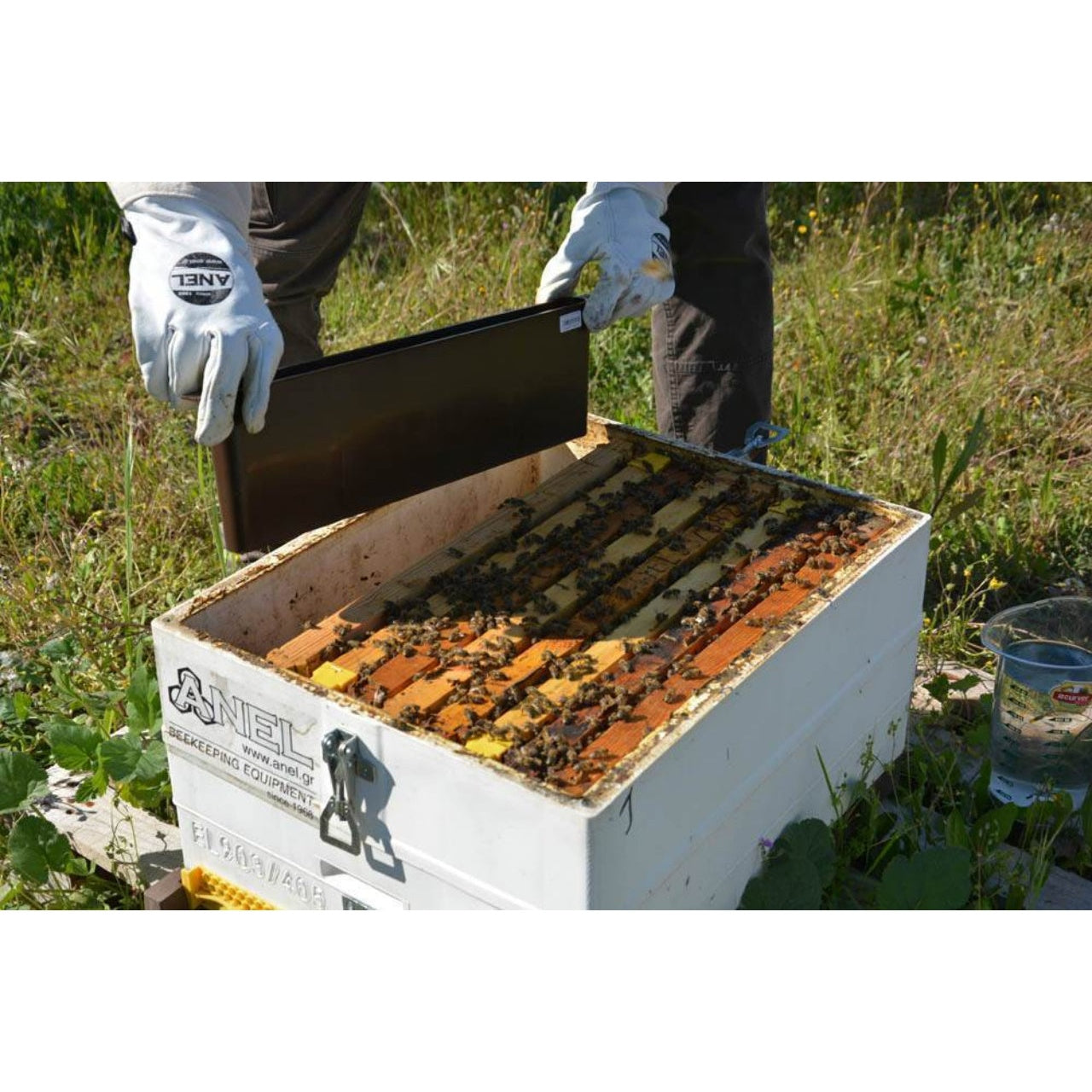 ANEL Division Feeder