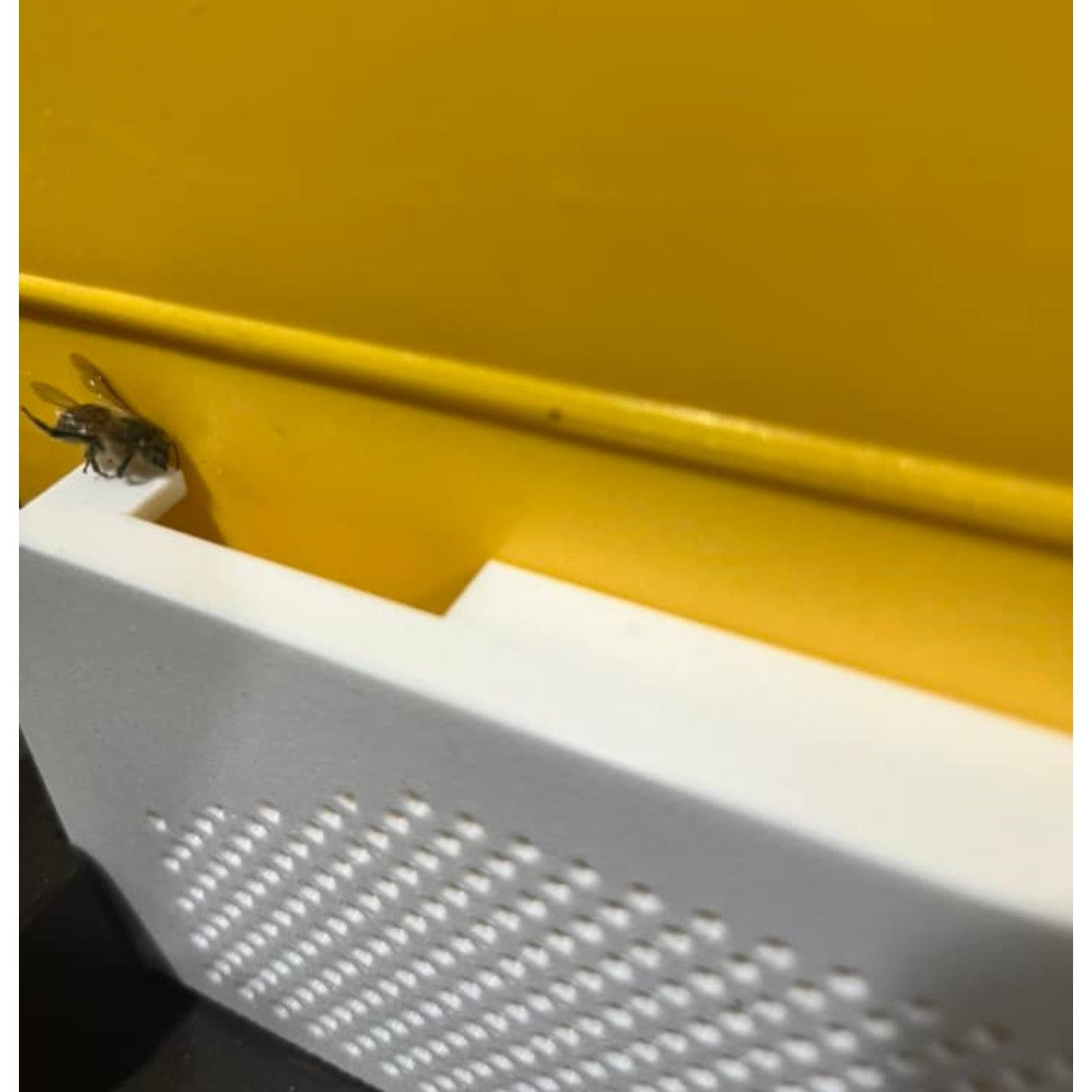 ANEL Robbing Screen (Pair)