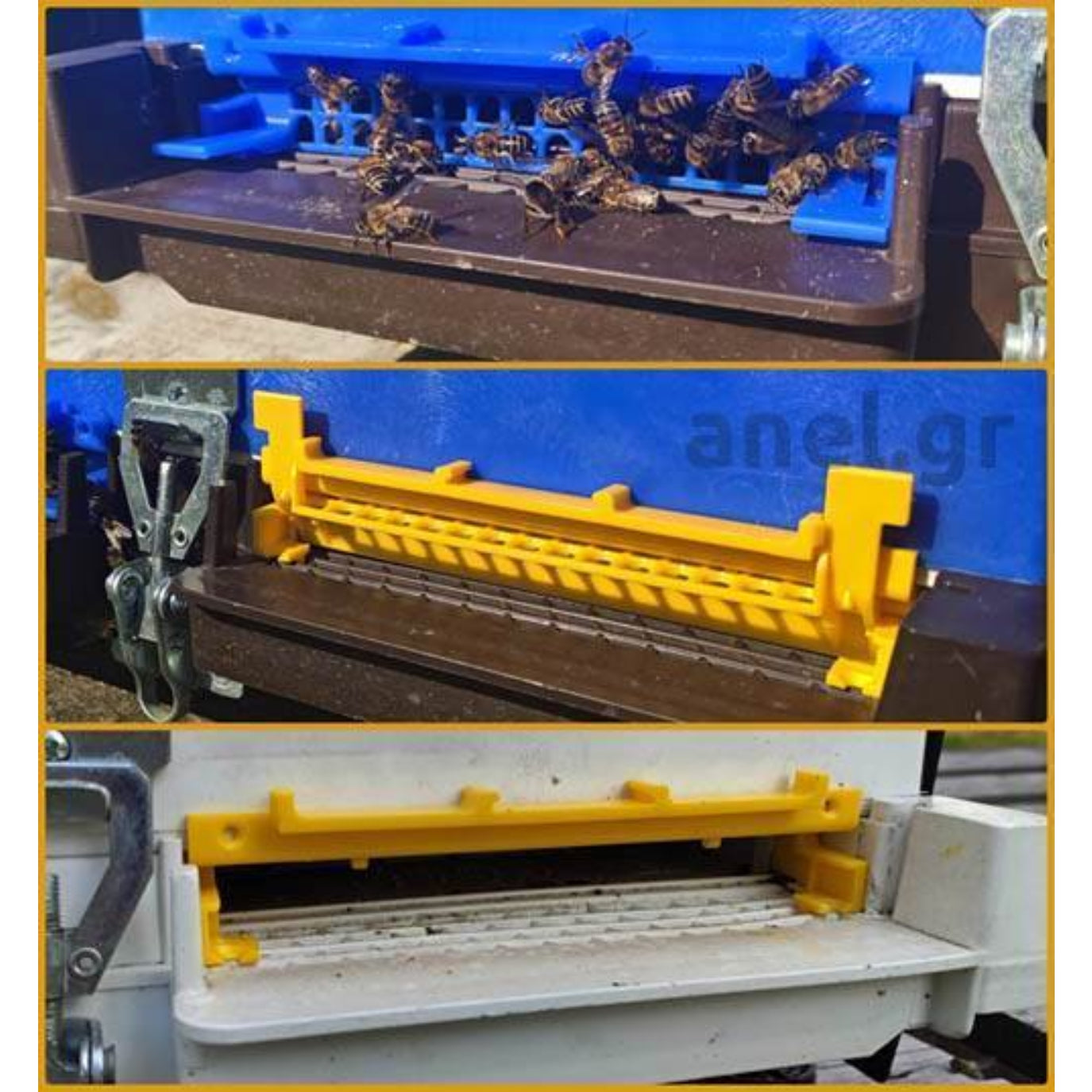 ANEL Hybrid Entrance