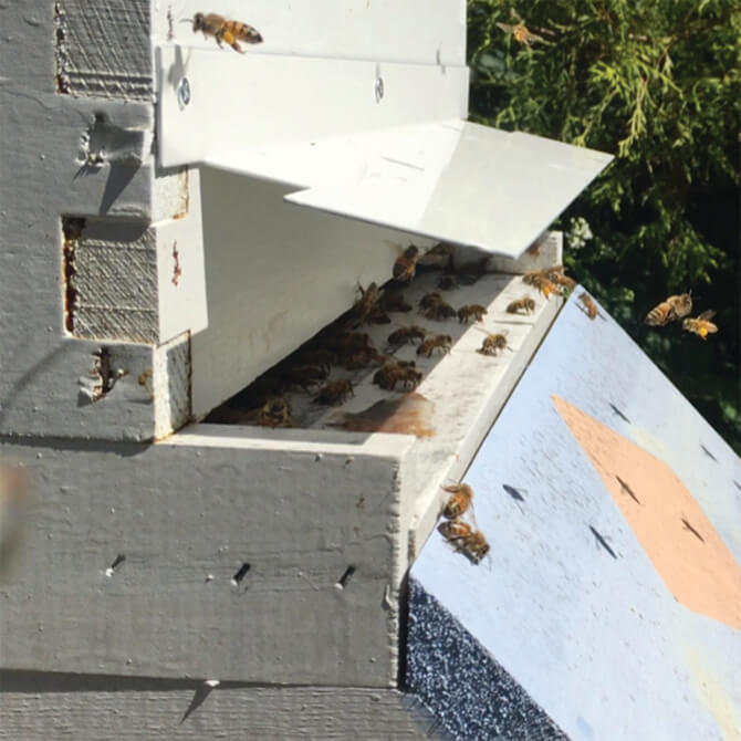 OGH® Beehive Awning