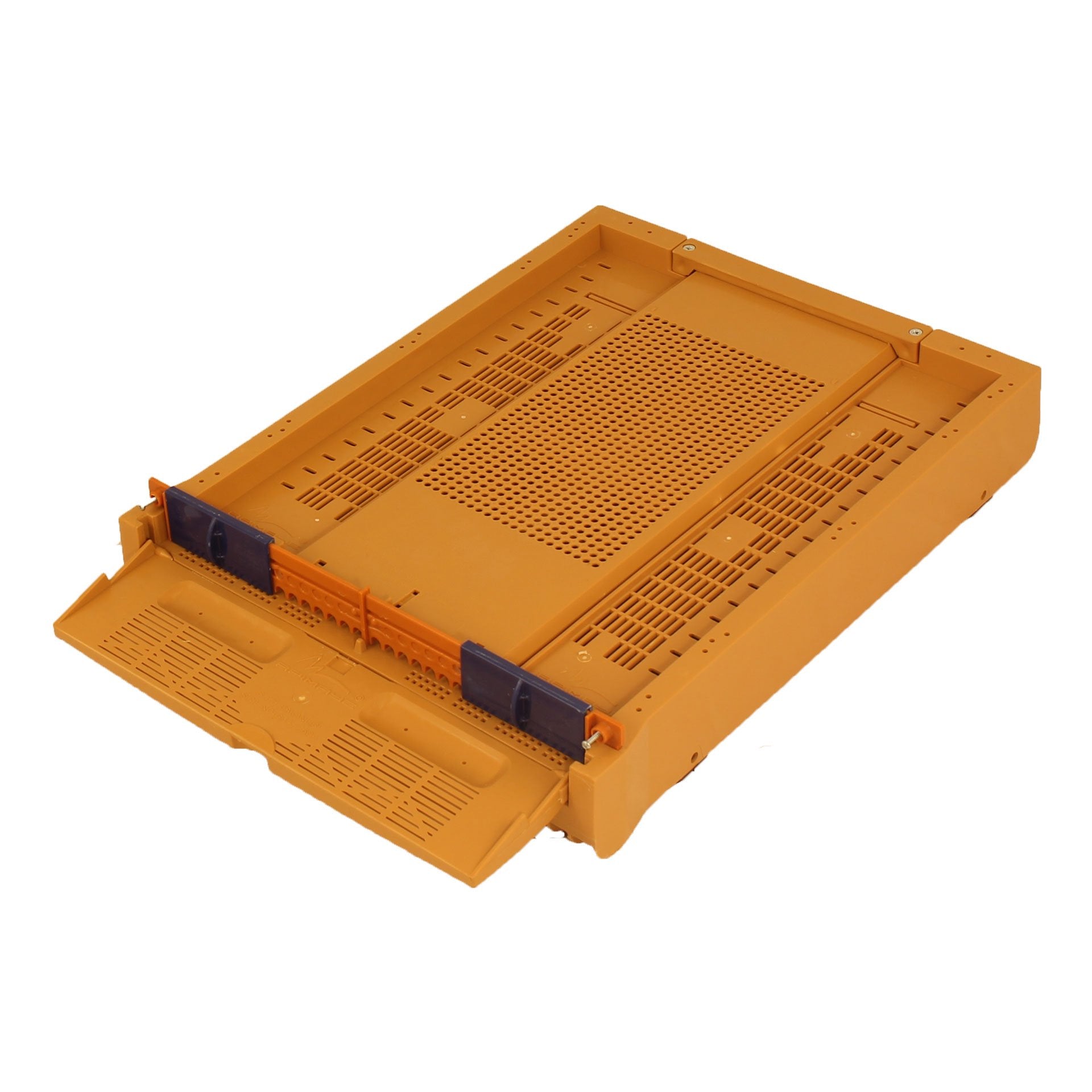 Apimaye Fusion Hive (qualifies for free shipping)