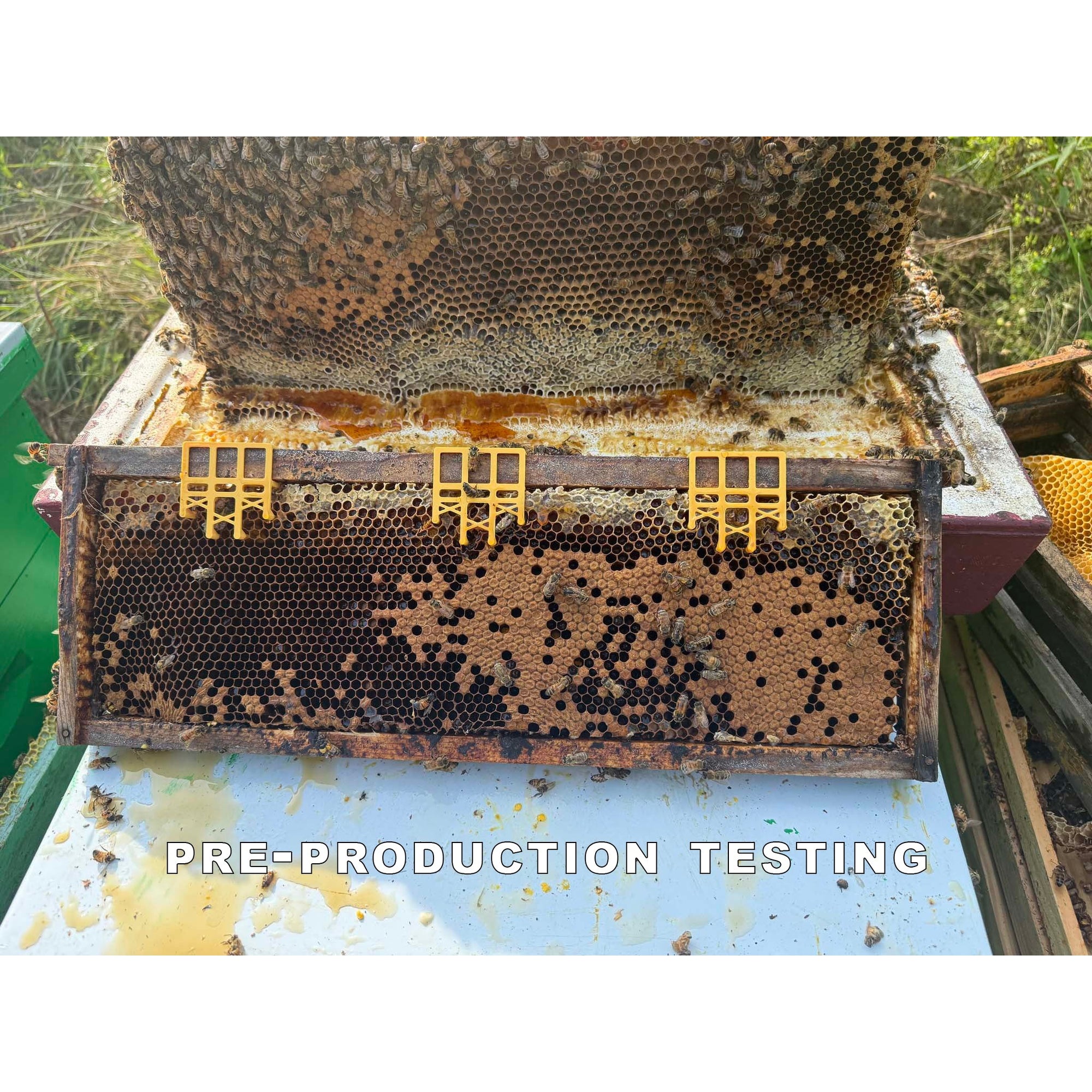 Comb Keeper: Comb Recovery Tool (ships directly from warehouse)