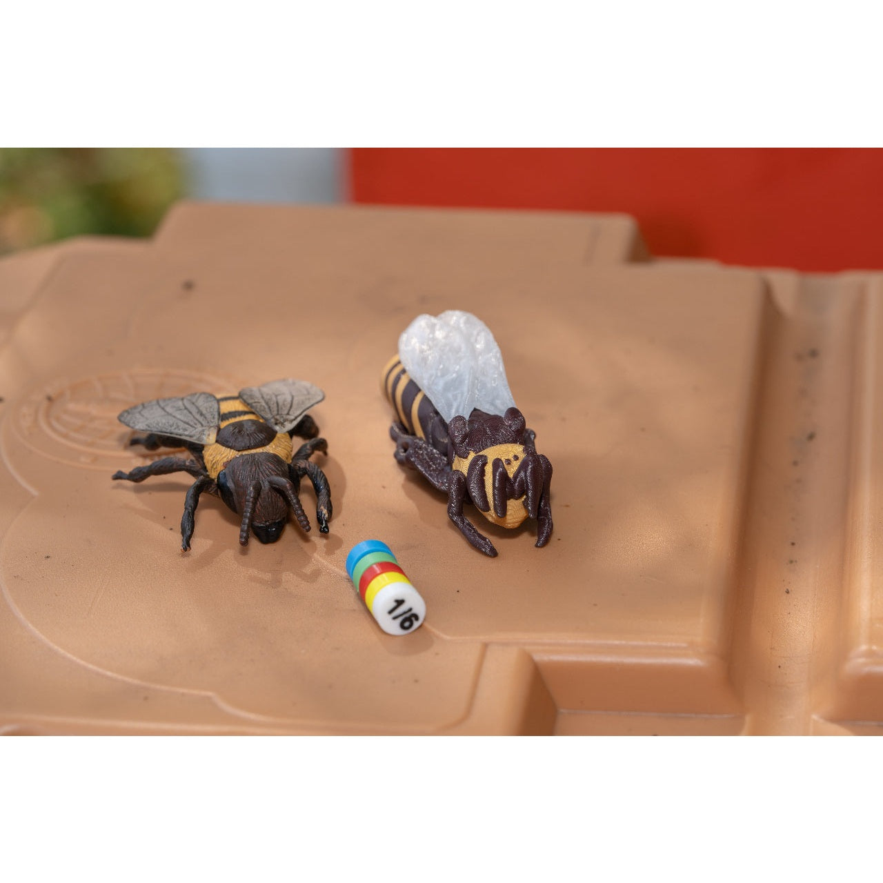 Educational Tool: Queen Bee for Life in the Hive (ships directly from warehouse)