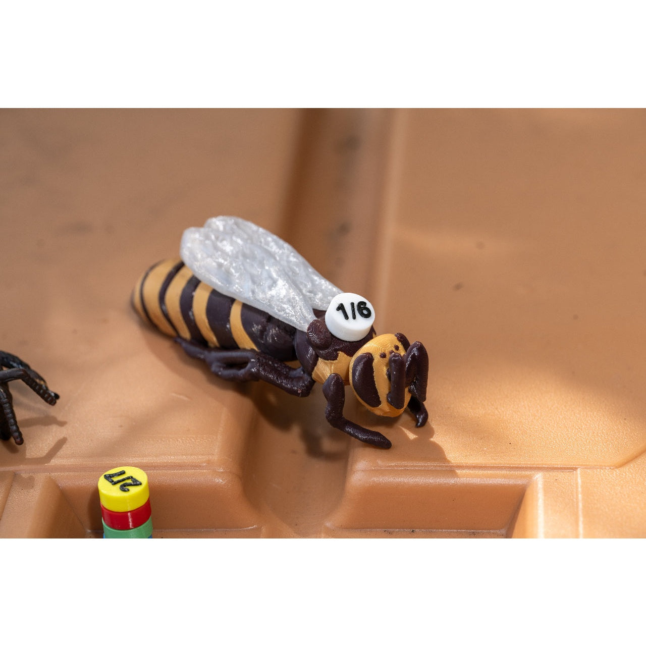 Educational Tool: Queen Bee for Life in the Hive (ships directly from warehouse)