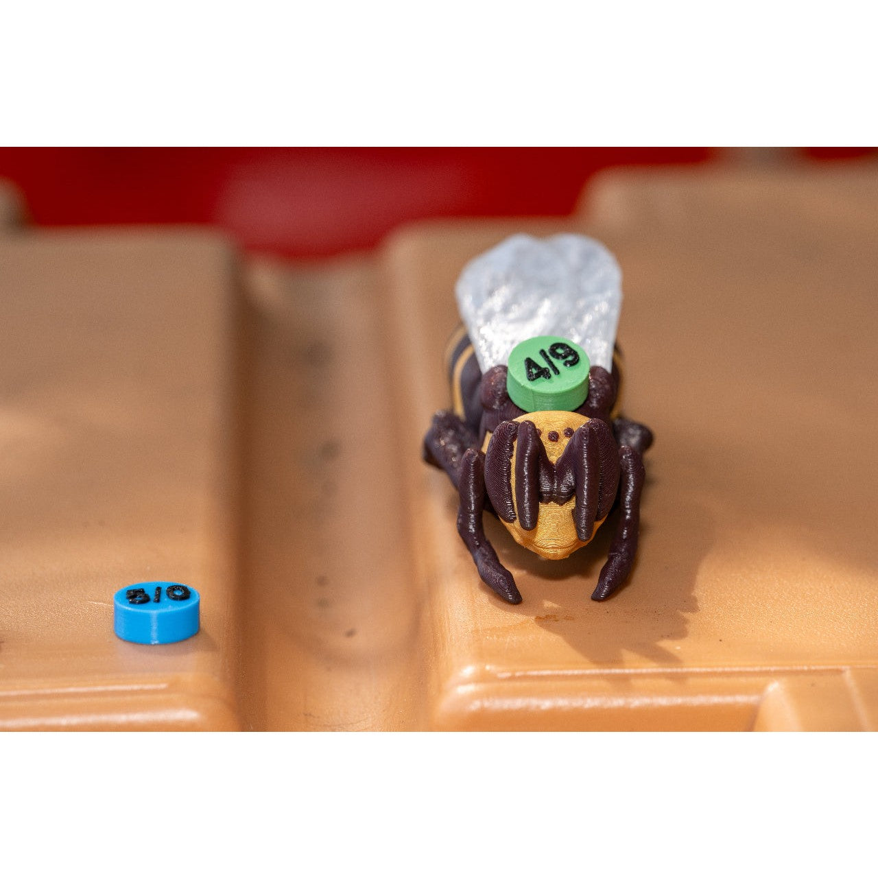 Educational Tool: Queen Bee for Life in the Hive (ships directly from warehouse)