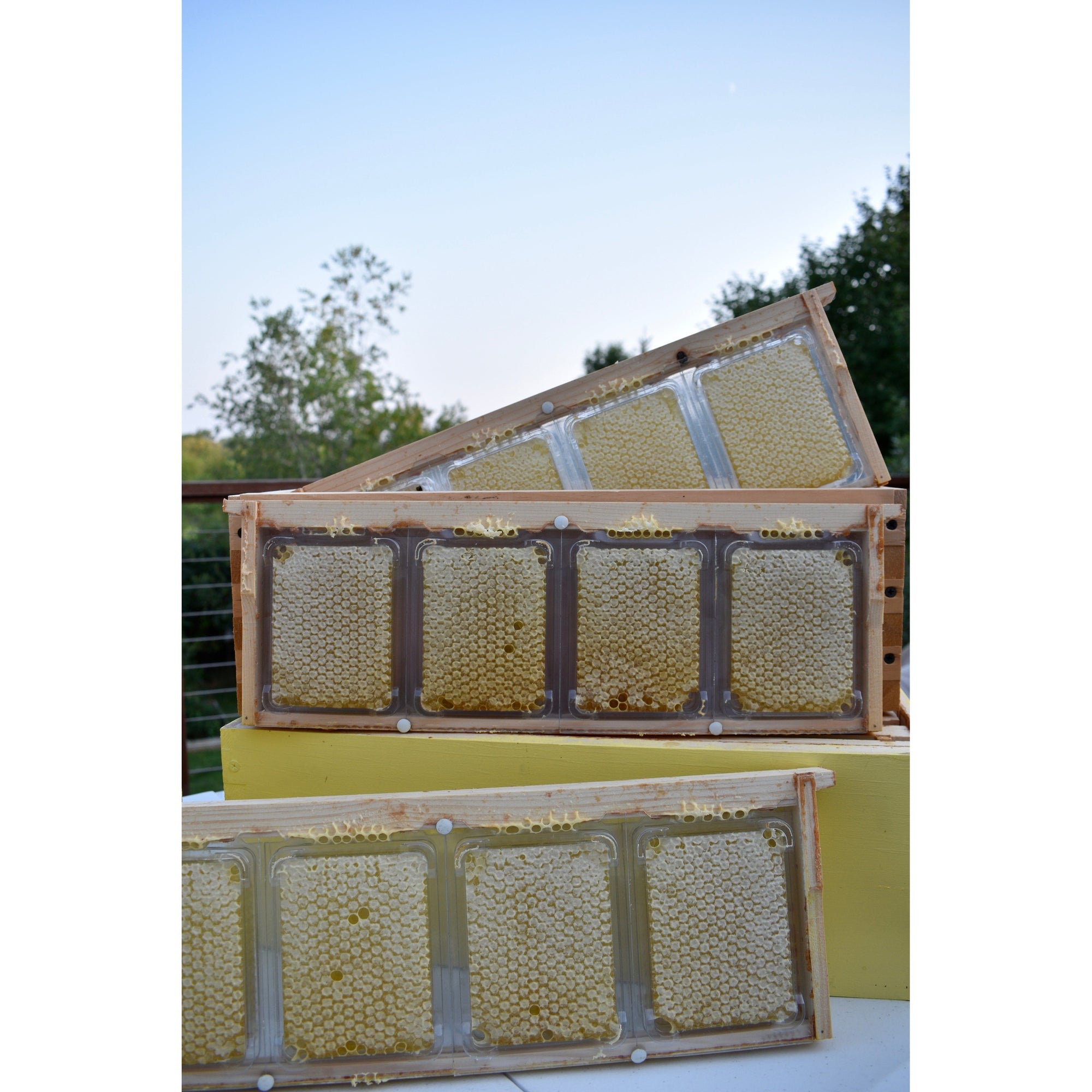 Simplkomb - Triple Pack (Ships Directly From Warehouse)