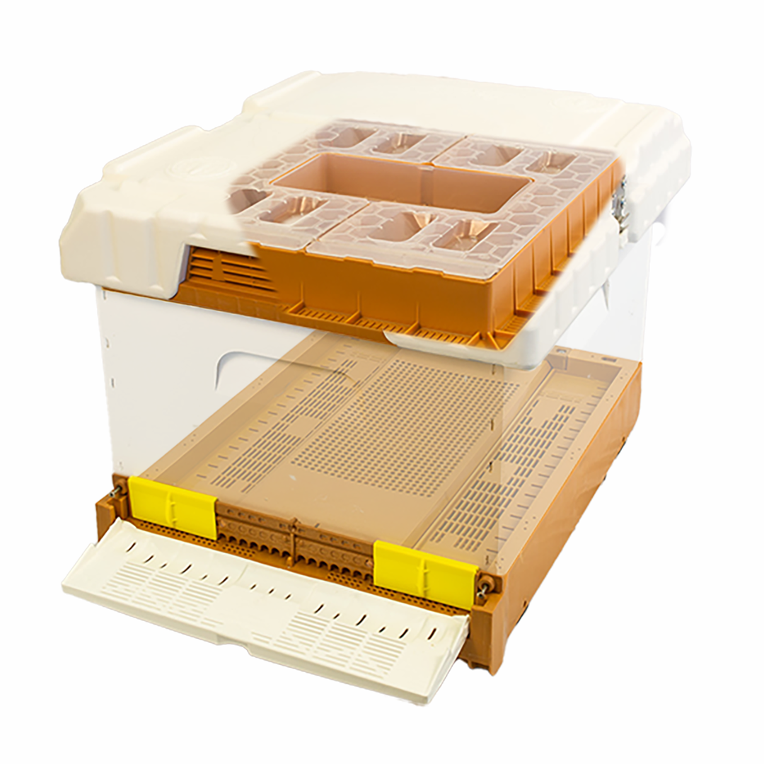 Apimaye Fusion Hive (qualifies for free shipping)