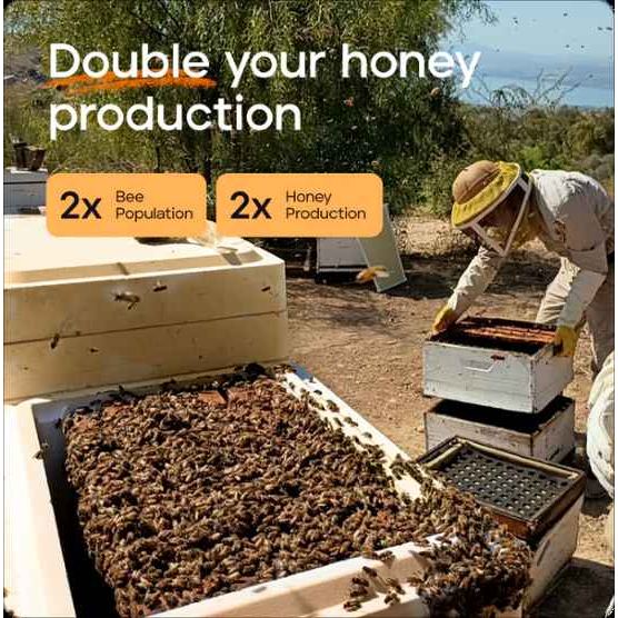 Primal Bee Hive Starter Kit  (ships directly from the warehouse)