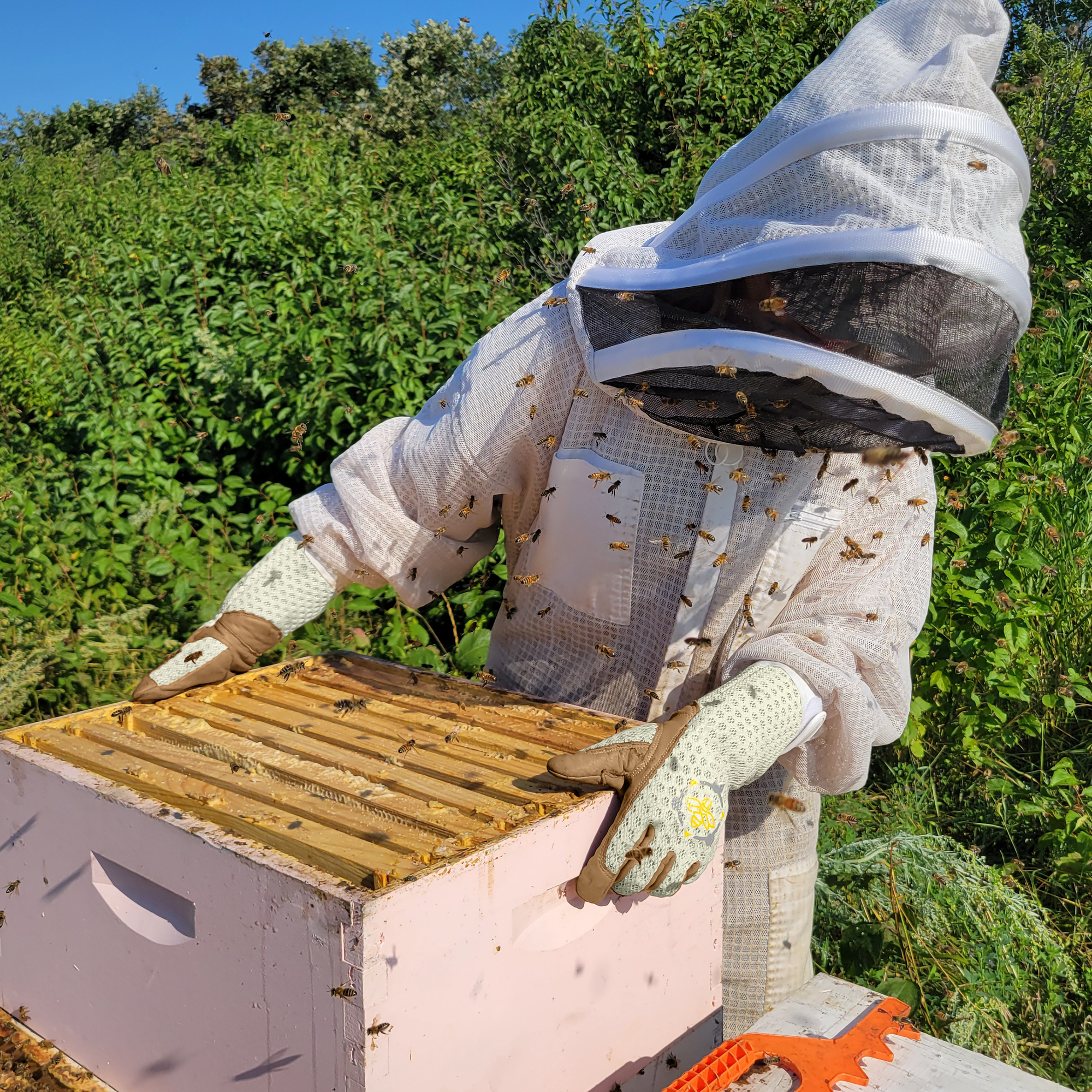 Apis Tactical Heavy Duty Beekeeping Gloves (ships from warehouse)