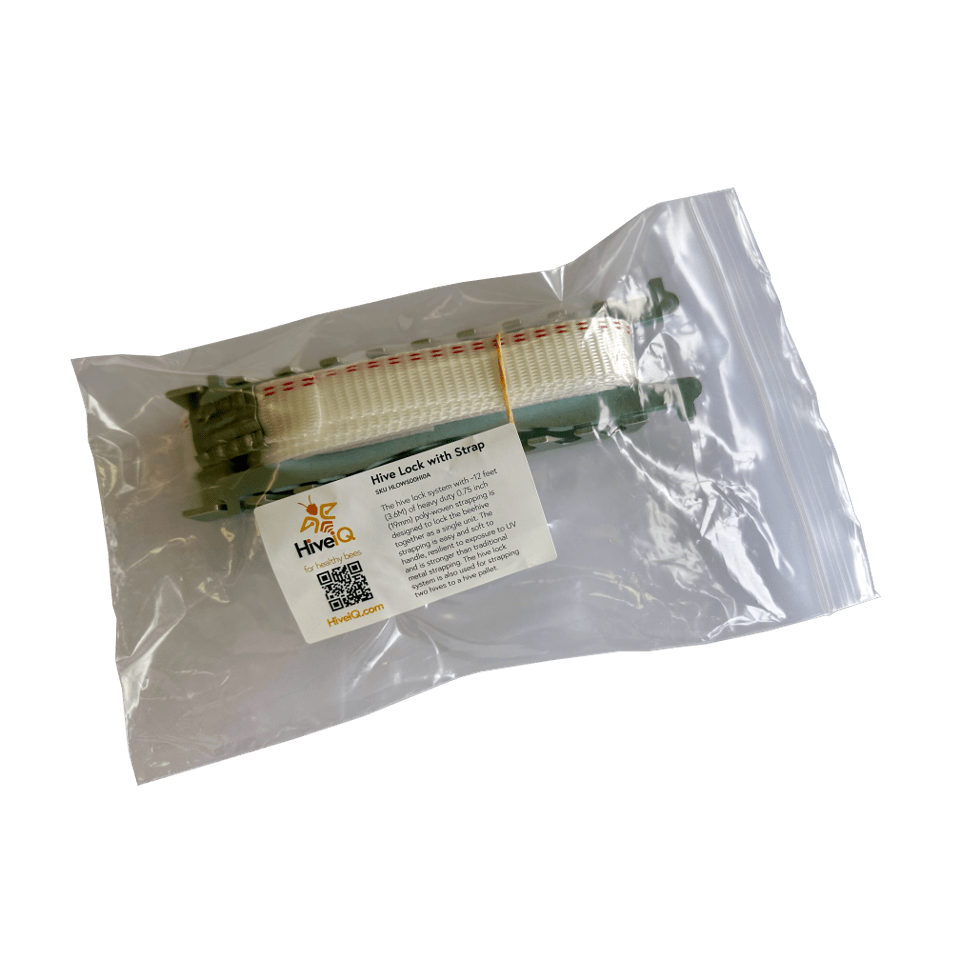 HiveIQ strap &amp; lock