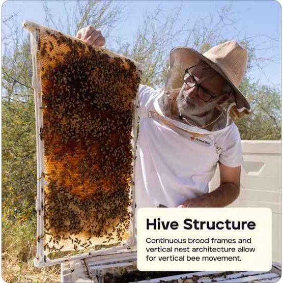 Primal Bee Hive Starter Kit  (ships directly from the warehouse)