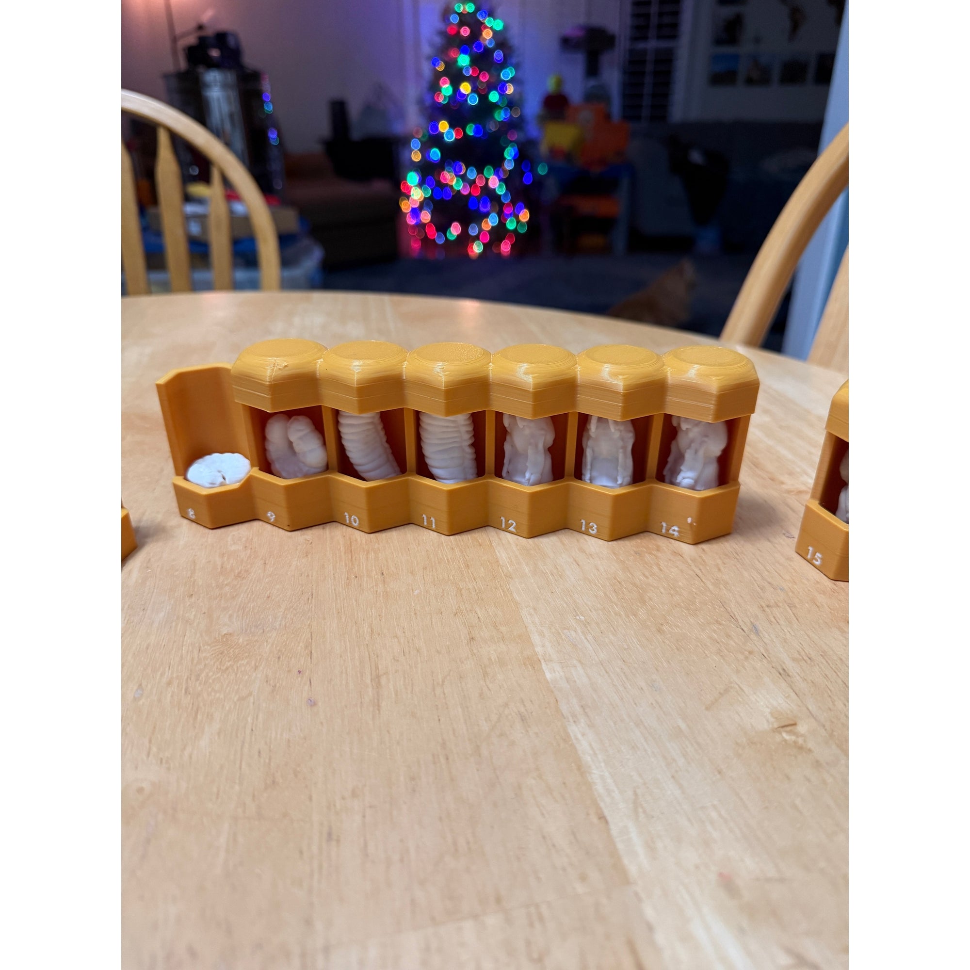 Educational Tool: Complete Life Cycle Model (ships directly from warehouse)
