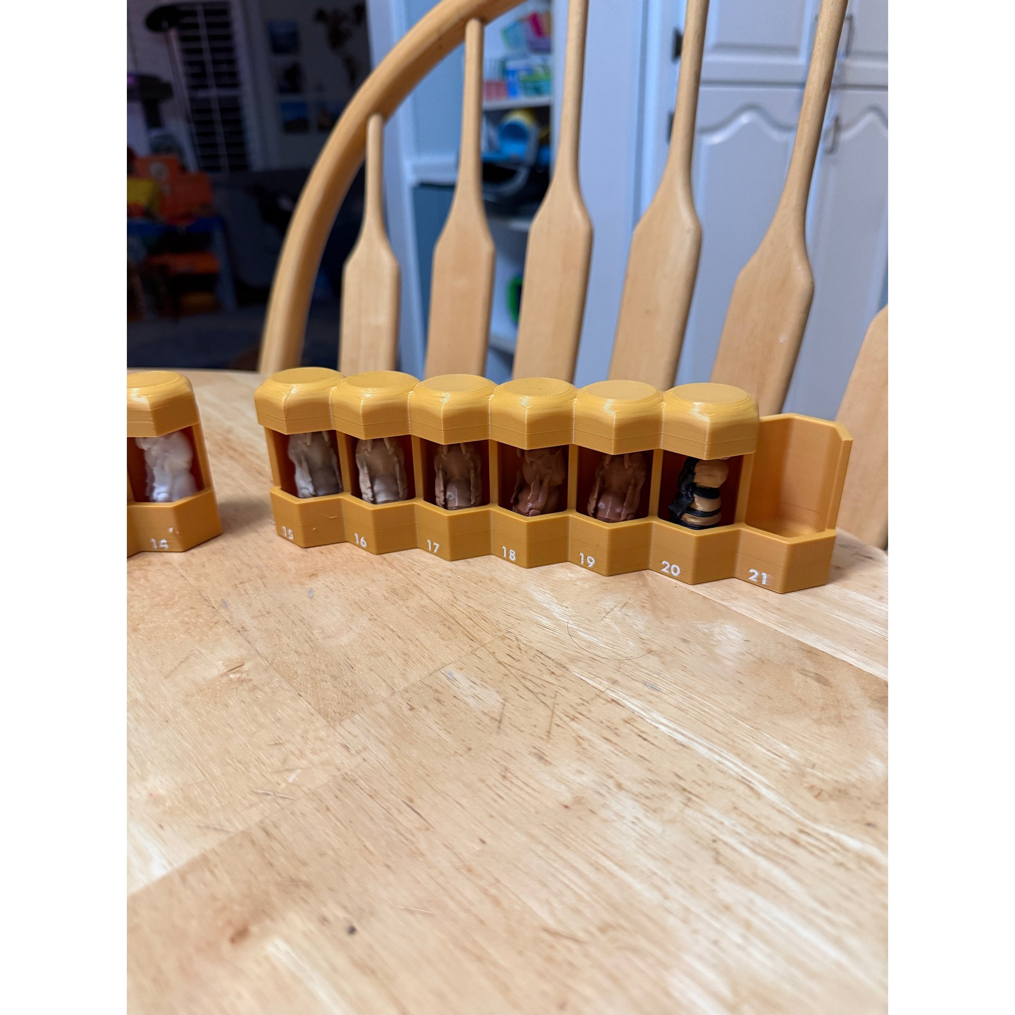 Educational Tool: Complete Life Cycle Model (ships directly from warehouse)