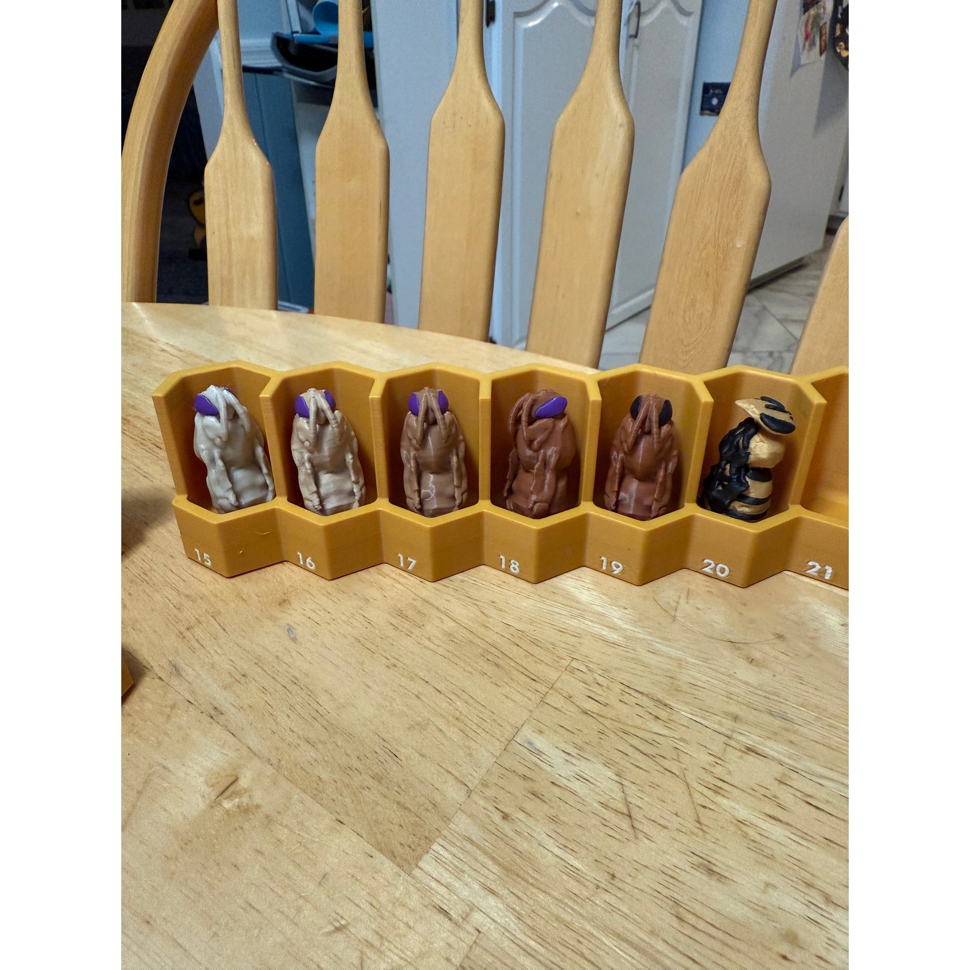 Educational Tool: Complete Life Cycle Model (ships directly from warehouse)