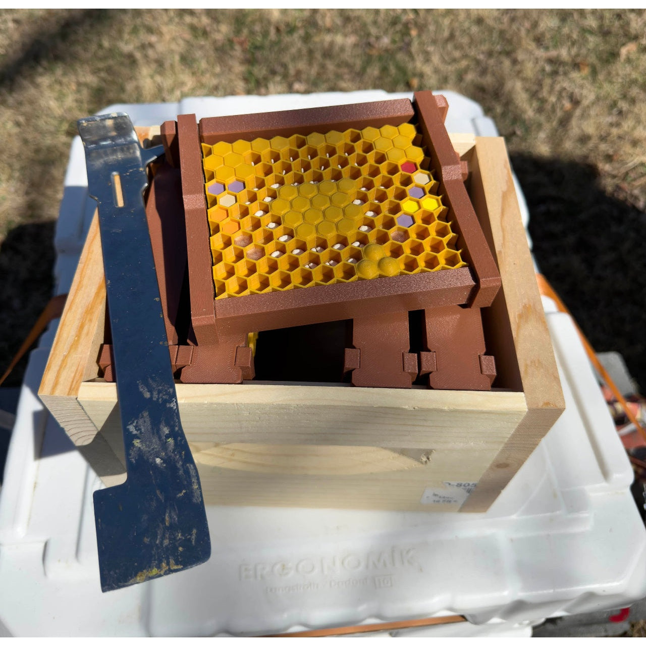 Educational Tool: Model Teaching Beehive (ships directly from warehouse)