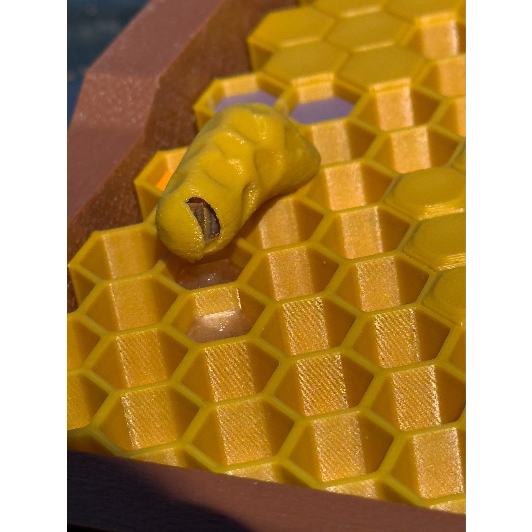 Educational Tool: Model Teaching Beehive (ships directly from warehouse)