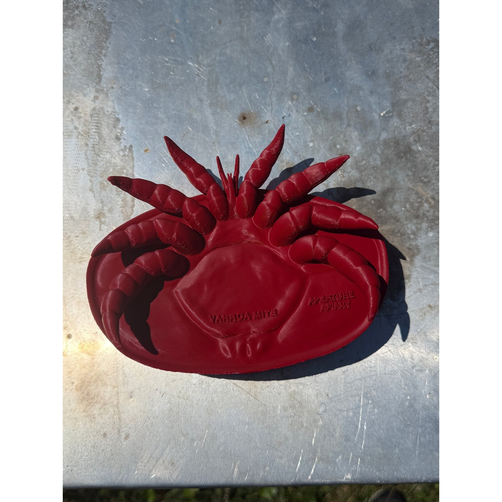 Educational Tool: Human-scale Varroa Mite (ships directly from warehouse)