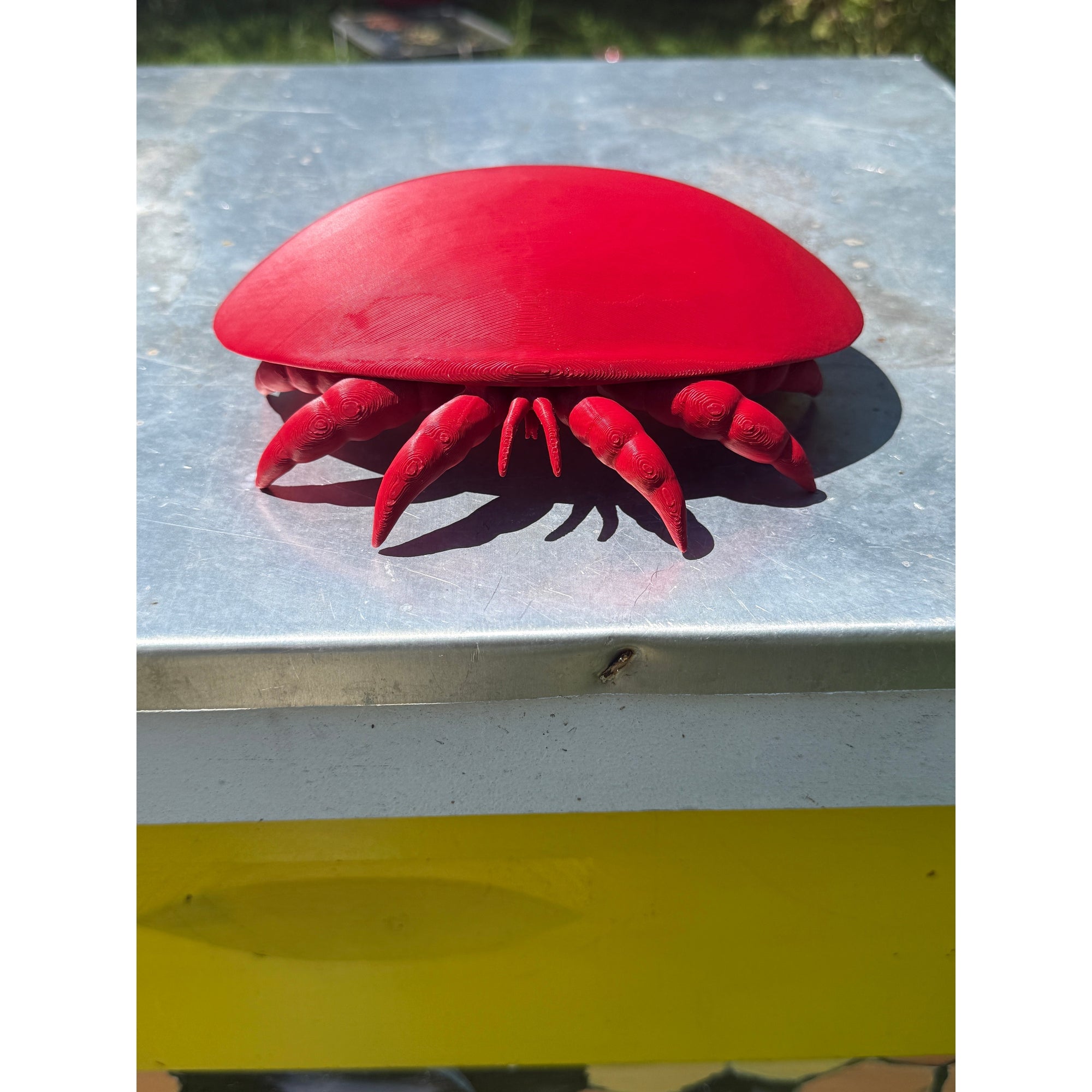Educational Tool: Human-scale Varroa Mite (ships directly from warehouse)
