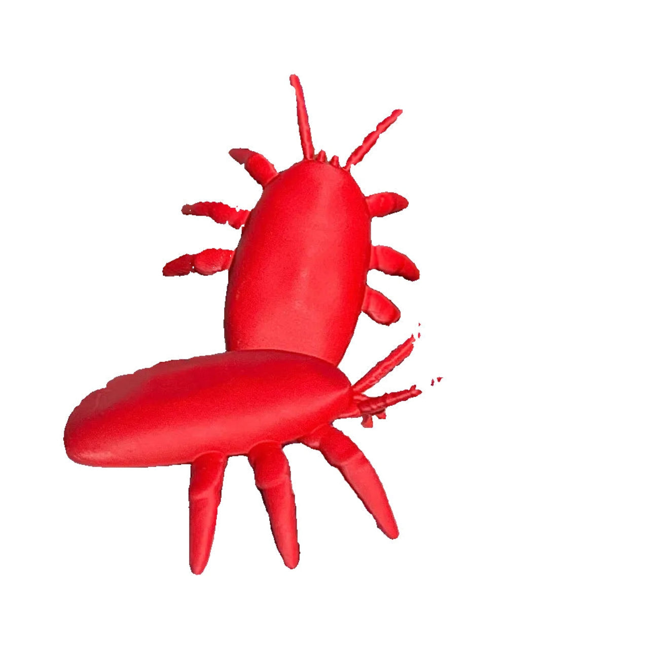 Educational Tool: Human-scale tropilaelaps Mite (ships directly from warehouse)