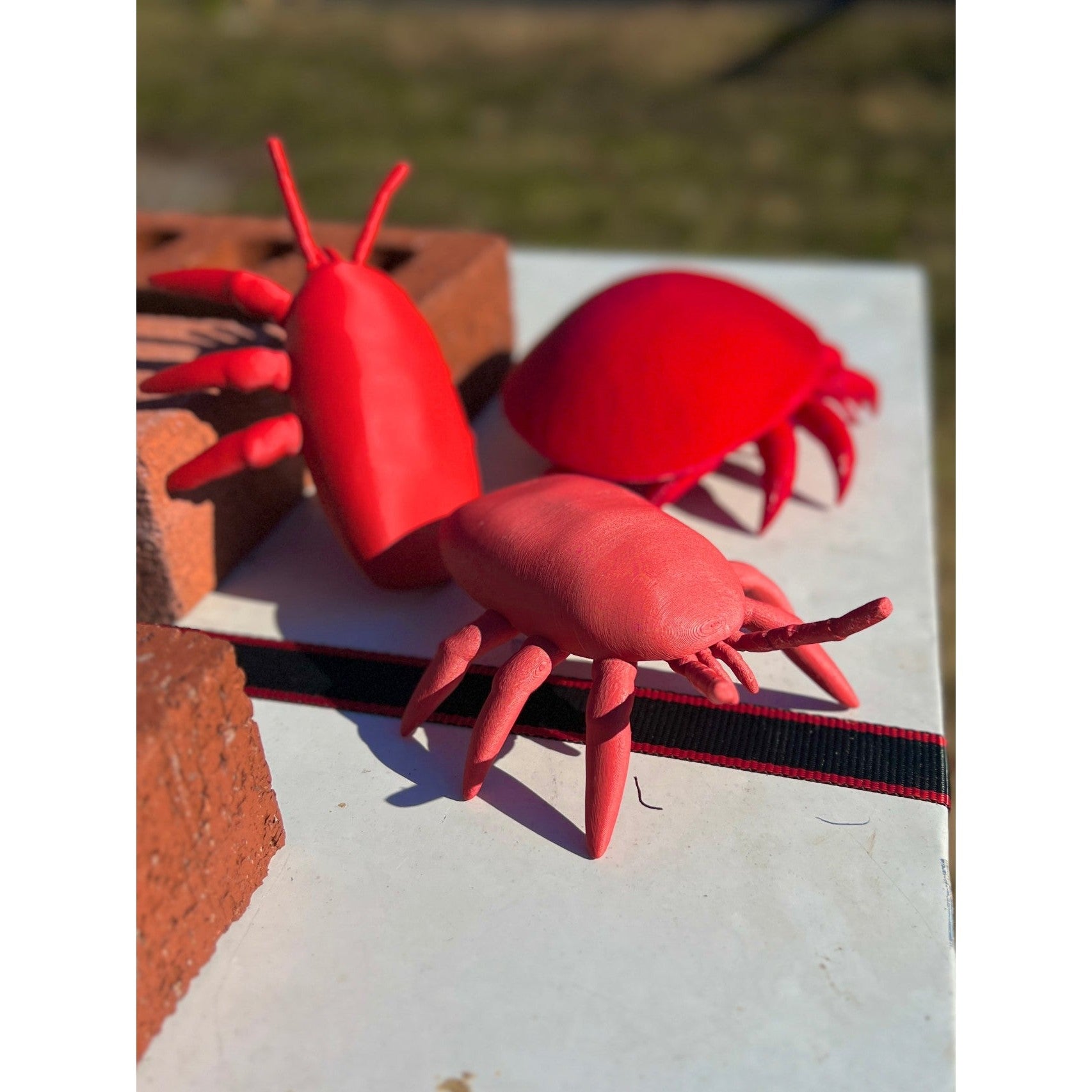 Educational Tool: Human-scale tropilaelaps Mite (ships directly from warehouse)