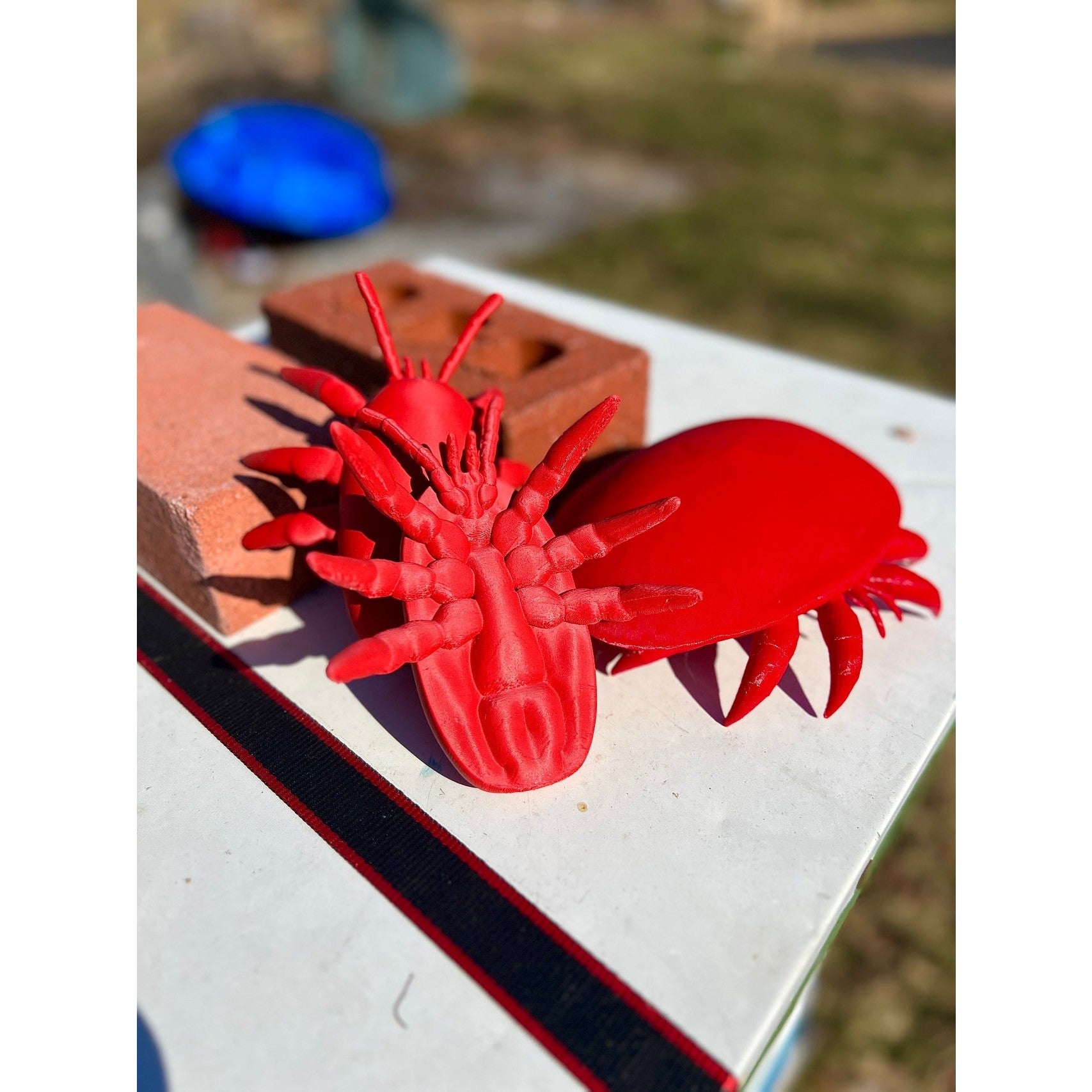 Educational Tool: Human-scale tropilaelaps Mite (ships directly from warehouse)