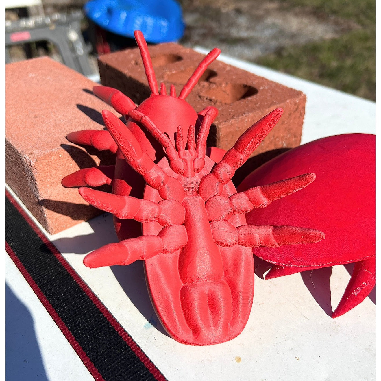 Educational Tool: Human-scale tropilaelaps Mite (ships directly from warehouse)
