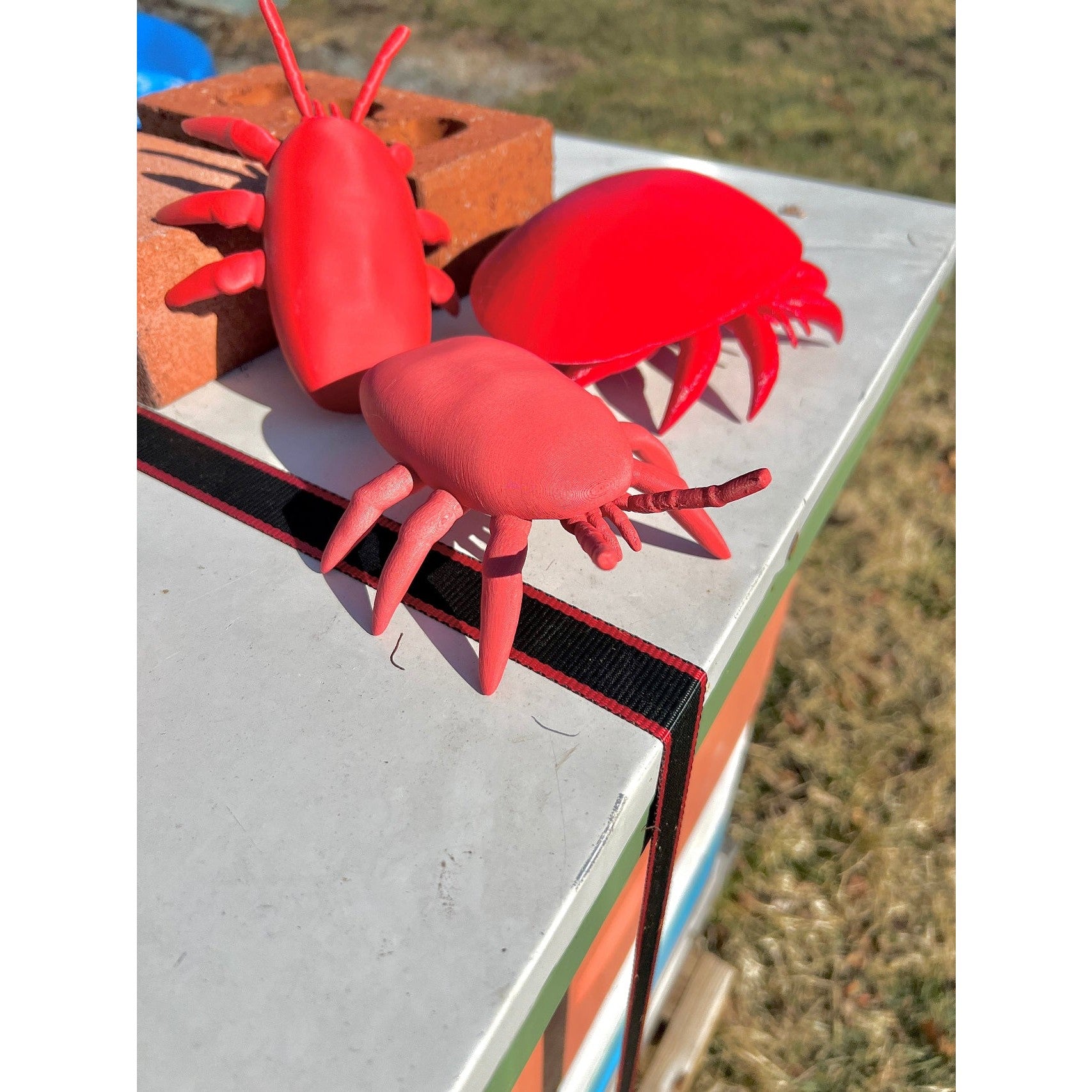 Educational Tool: Human-scale tropilaelaps Mite (ships directly from warehouse)