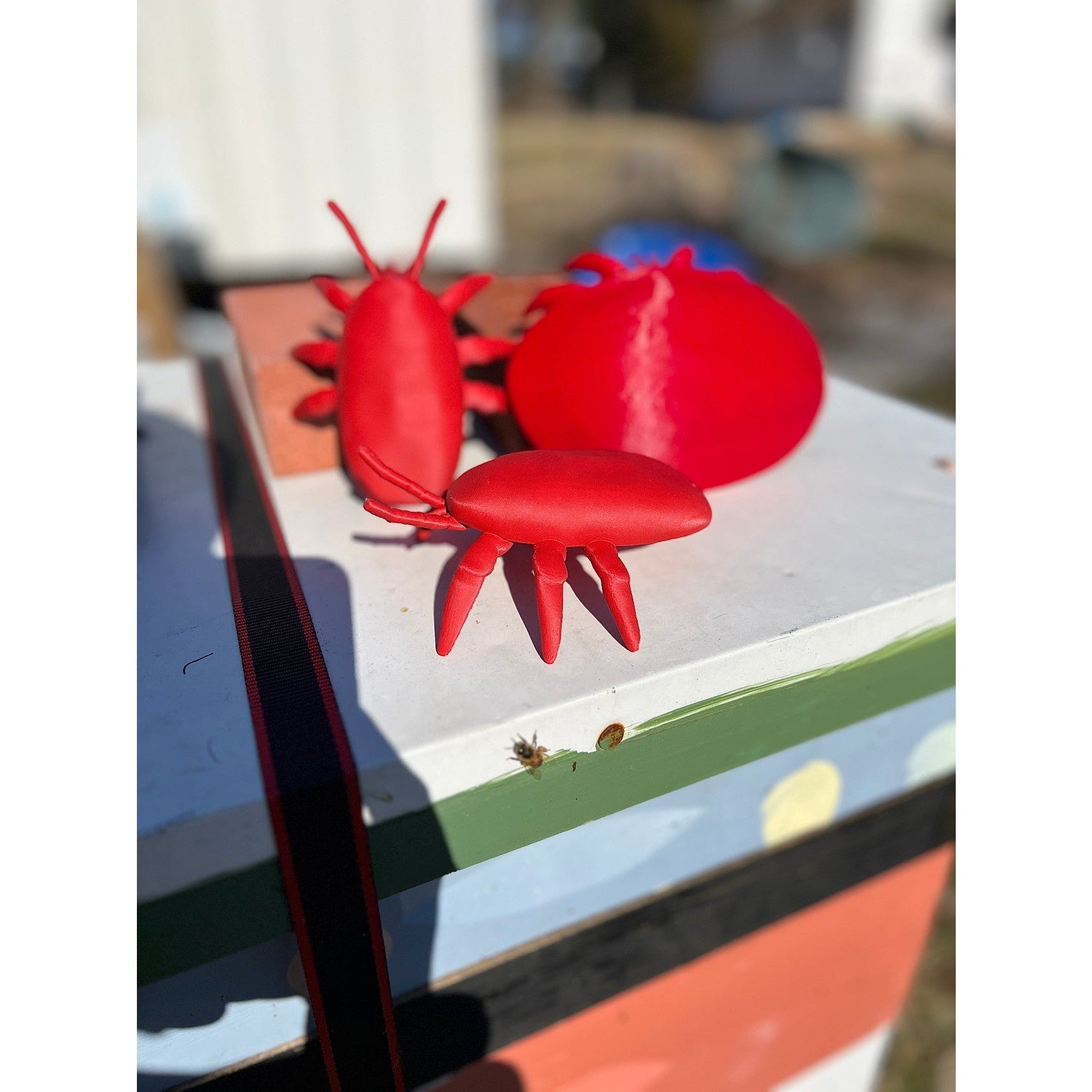 Educational Tool: Human-scale tropilaelaps Mite (ships directly from warehouse)