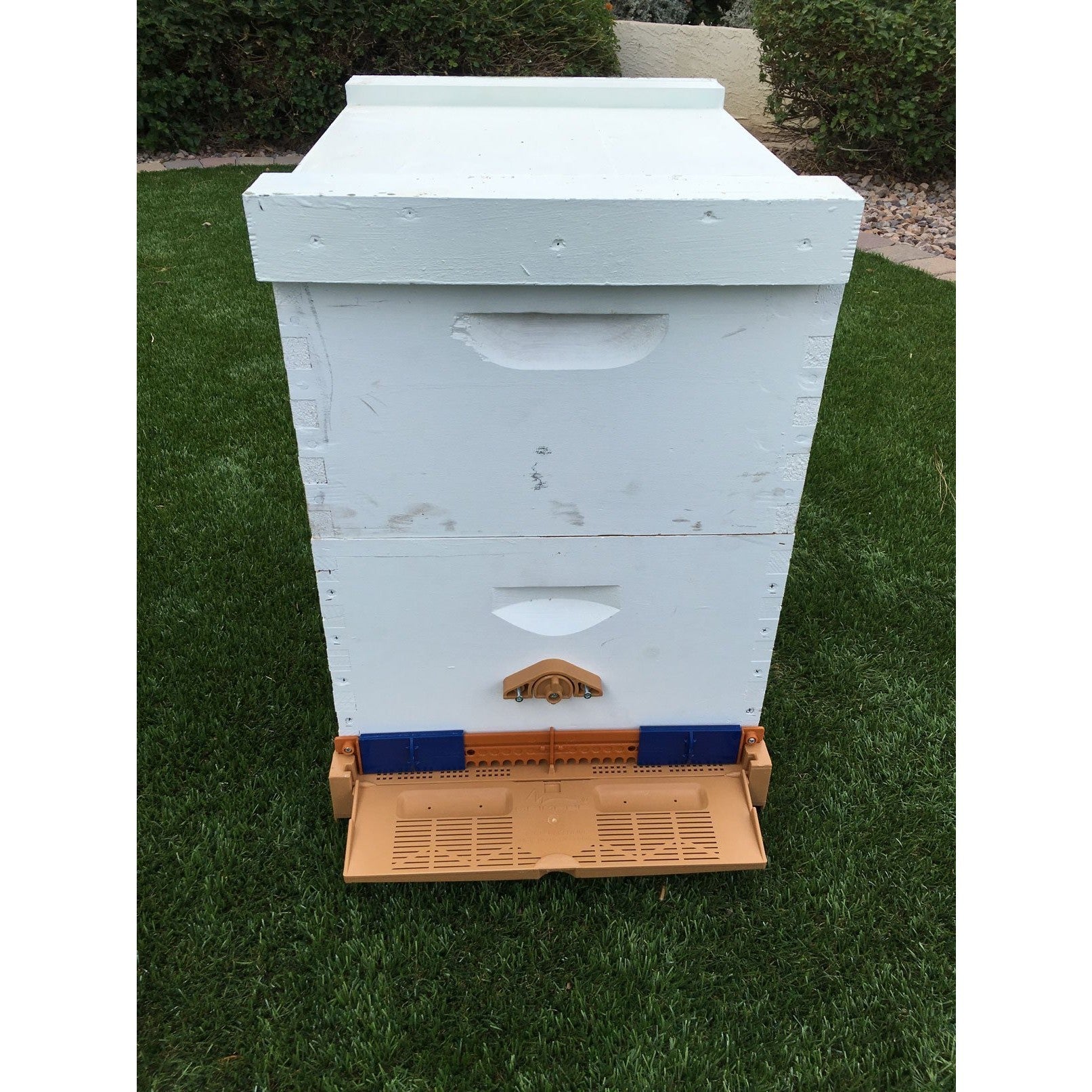 Apimaye 10 Frame Screen Bottom Board With Bottom Tray &amp; Pollen Trap (qualifies for free shipping)