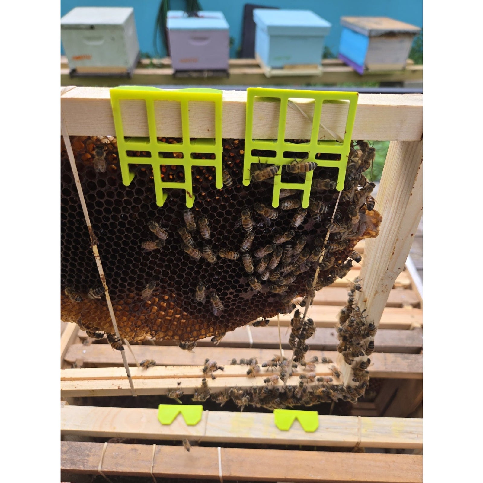 Comb Keeper: Comb Recovery Tool (ships directly from warehouse)