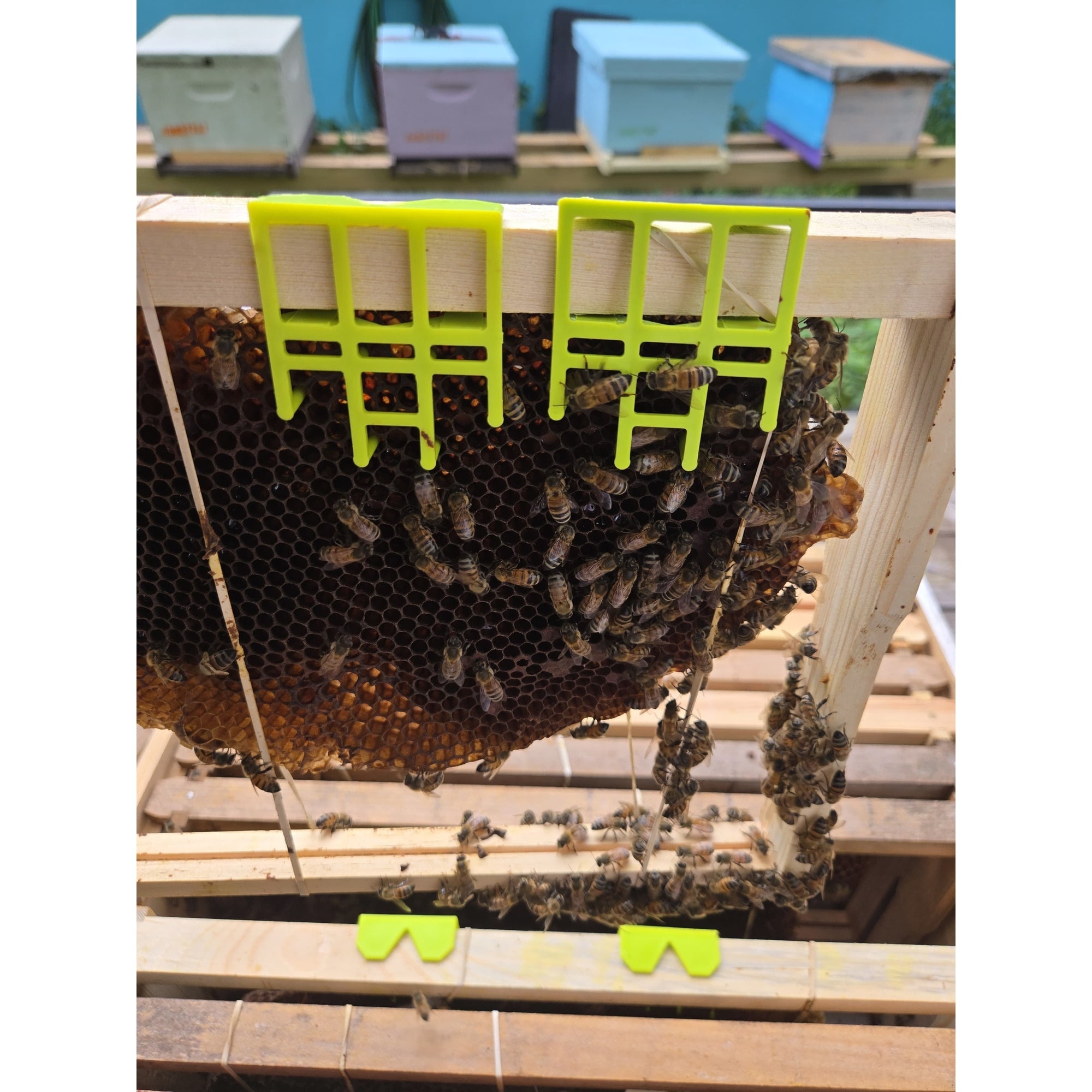 Comb Keeper: Comb Recovery Tool (ships directly from warehouse)