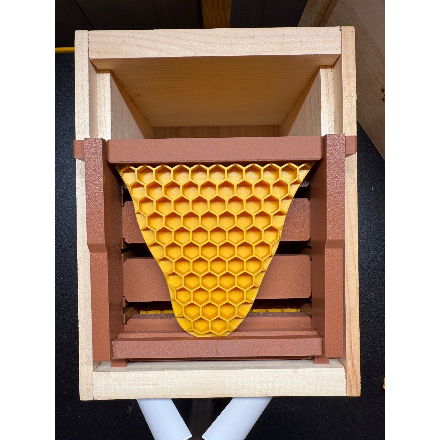 Educational Tool: Model Teaching Beehive (ships directly from warehouse)