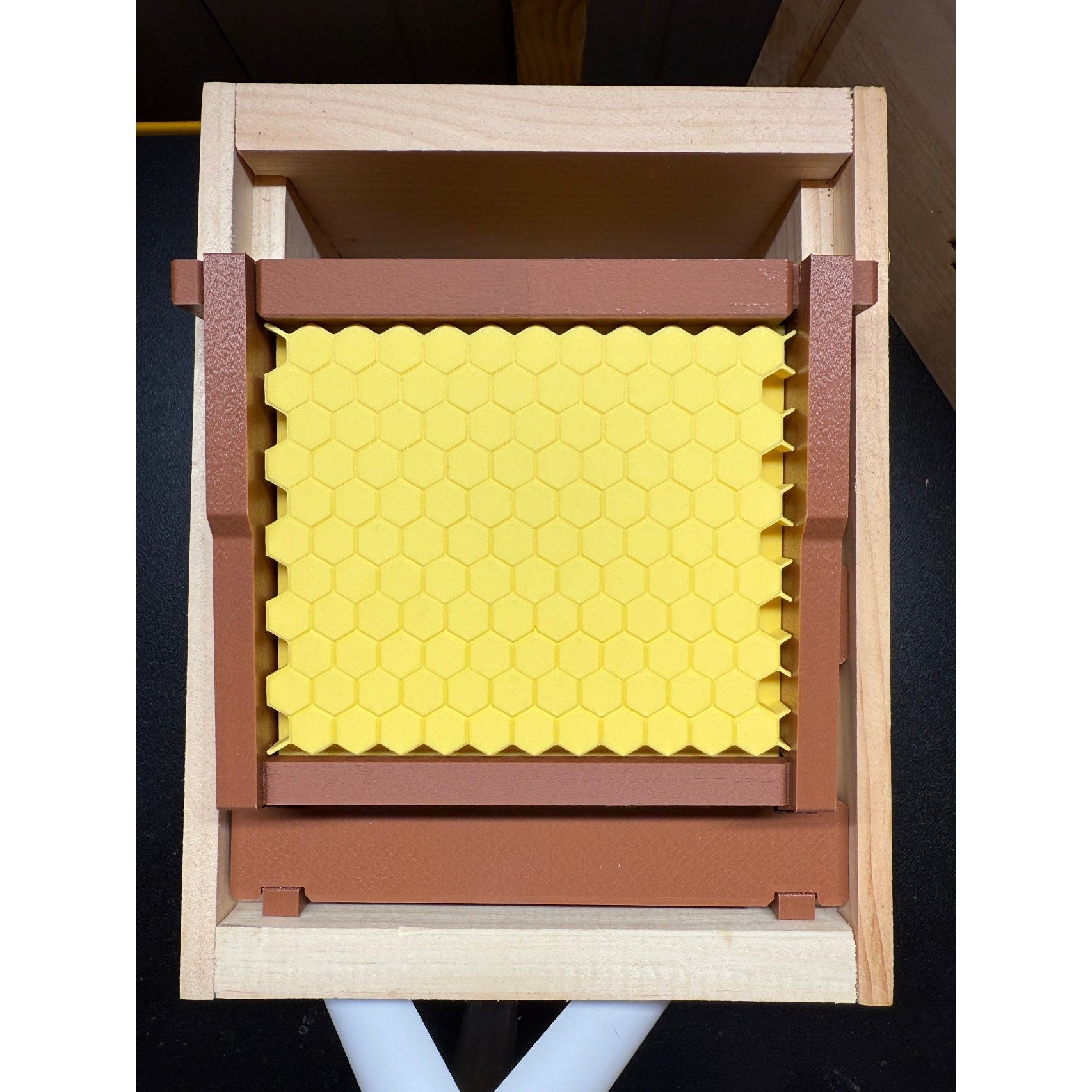 Educational Tool: Model Teaching Beehive (ships directly from warehouse)
