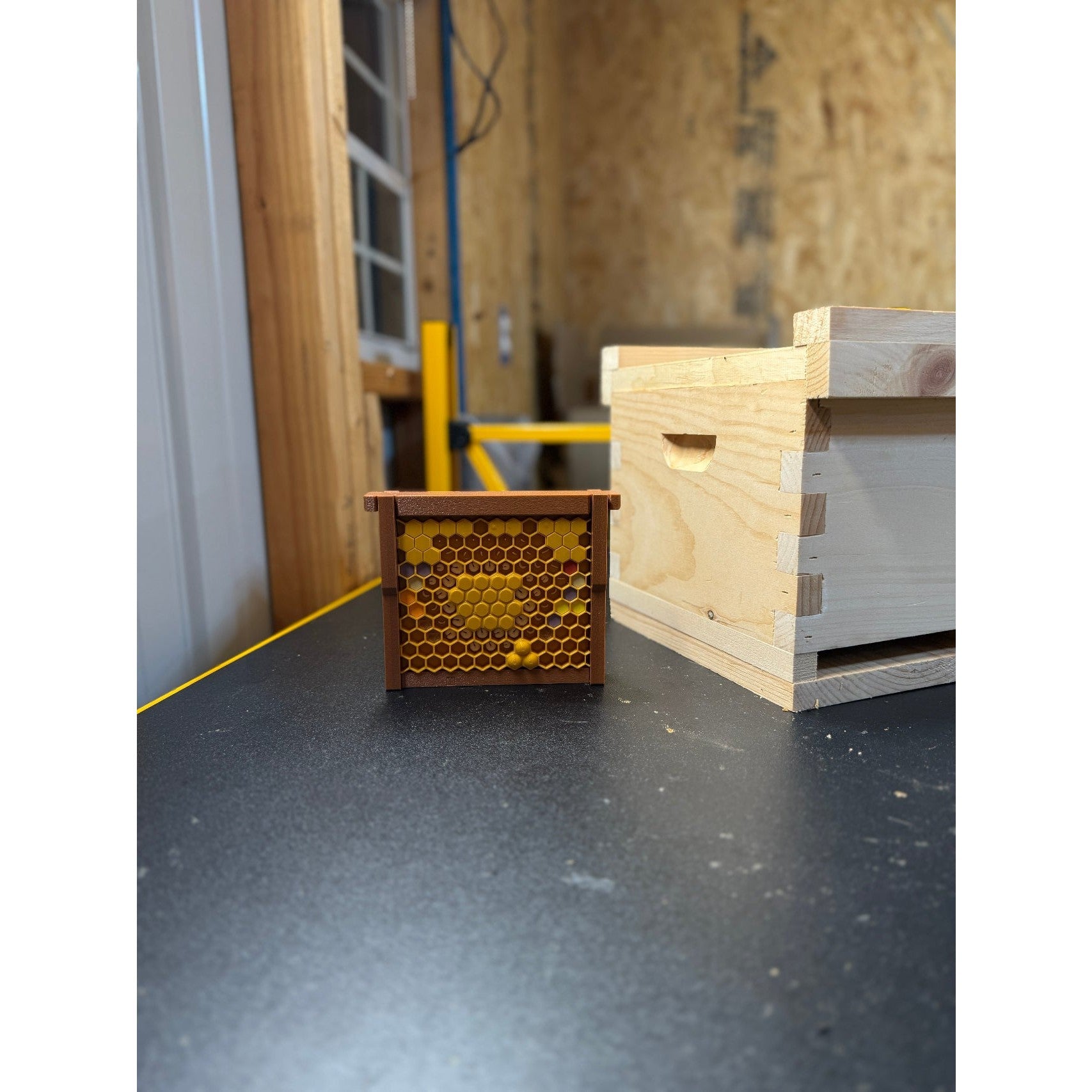 Educational Tool: Model Teaching Beehive (ships directly from warehouse)