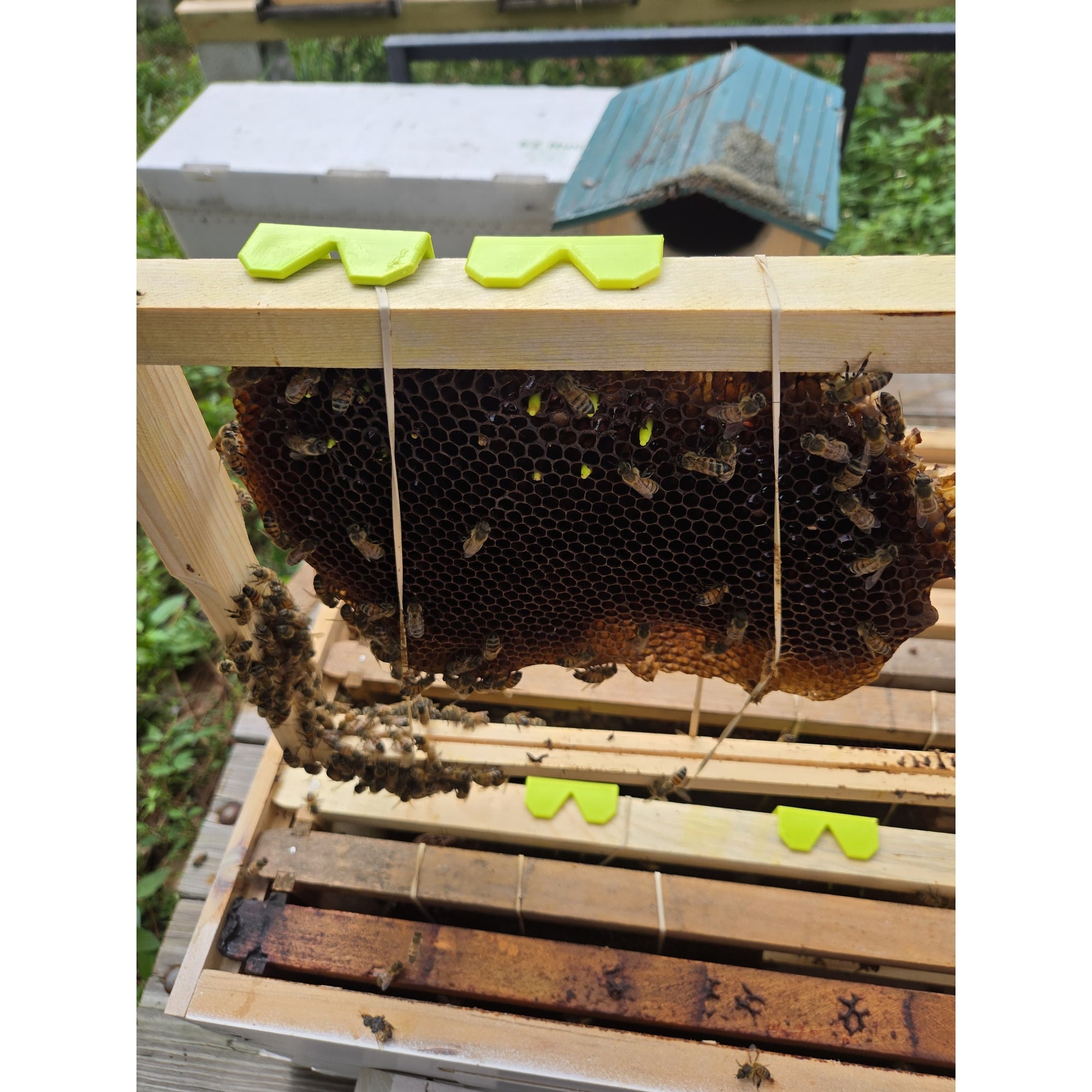 Comb Keeper: Comb Recovery Tool (ships directly from warehouse)