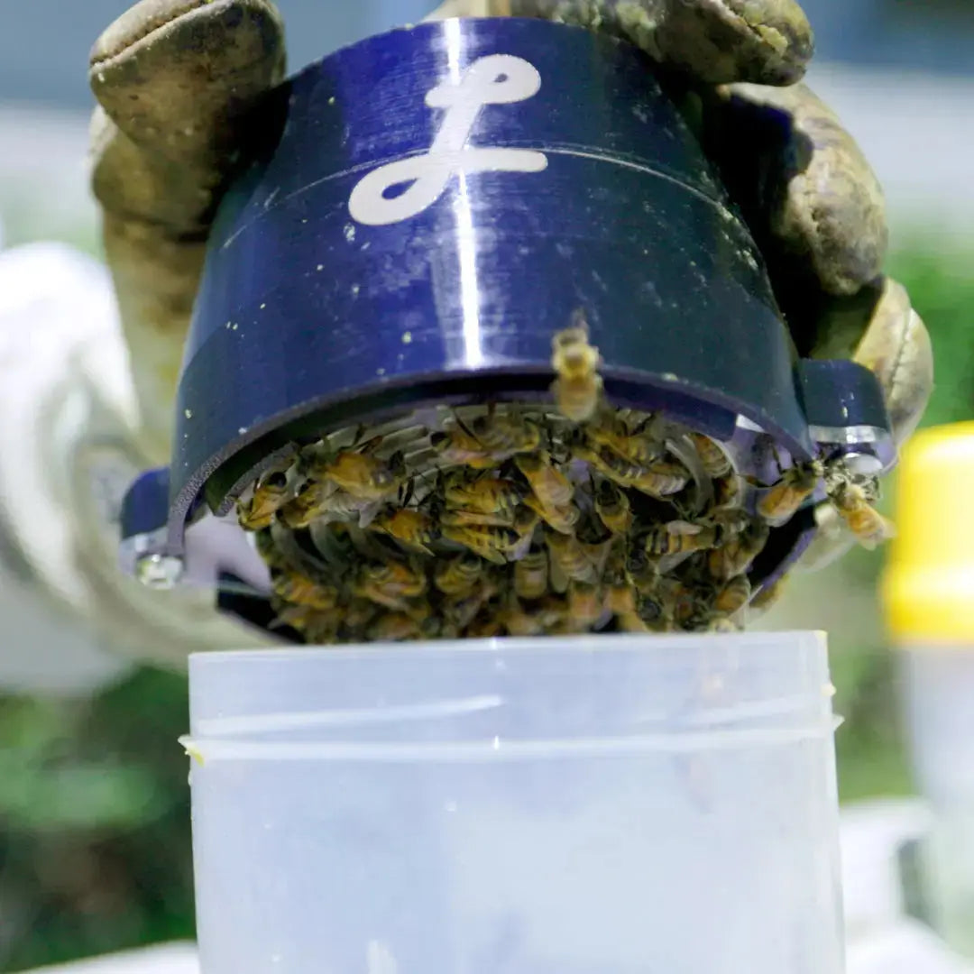 Lorob Bees: Queen Excluder for EasyCheck® Mite Wash (ships directly from warehouse)