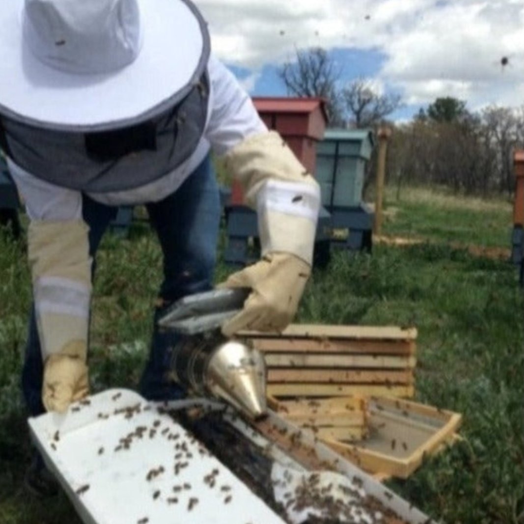 Beekeeping Class