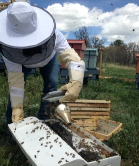 BRASS TACKS Beginner Beekeeping Class