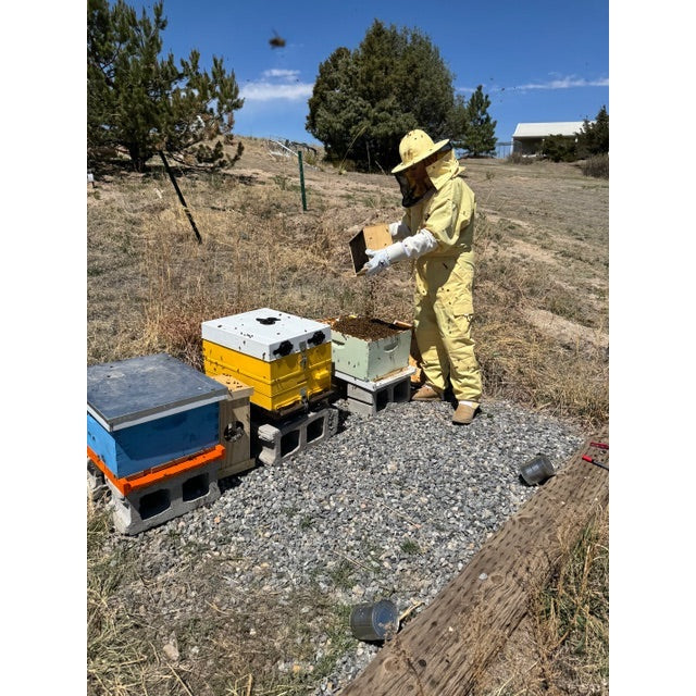 Womens Poly Cotton Suit-QUEEN BEE APPAREL™