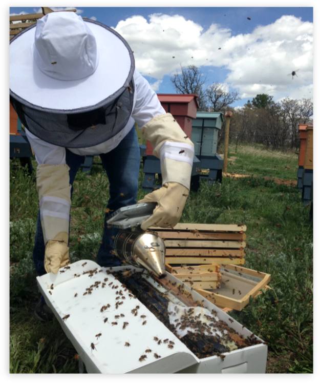 Dish Drying Mat - Rocky Mountain Bee Supply