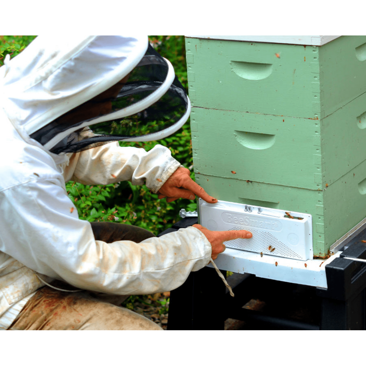 Dual Robbing/Moving Screen